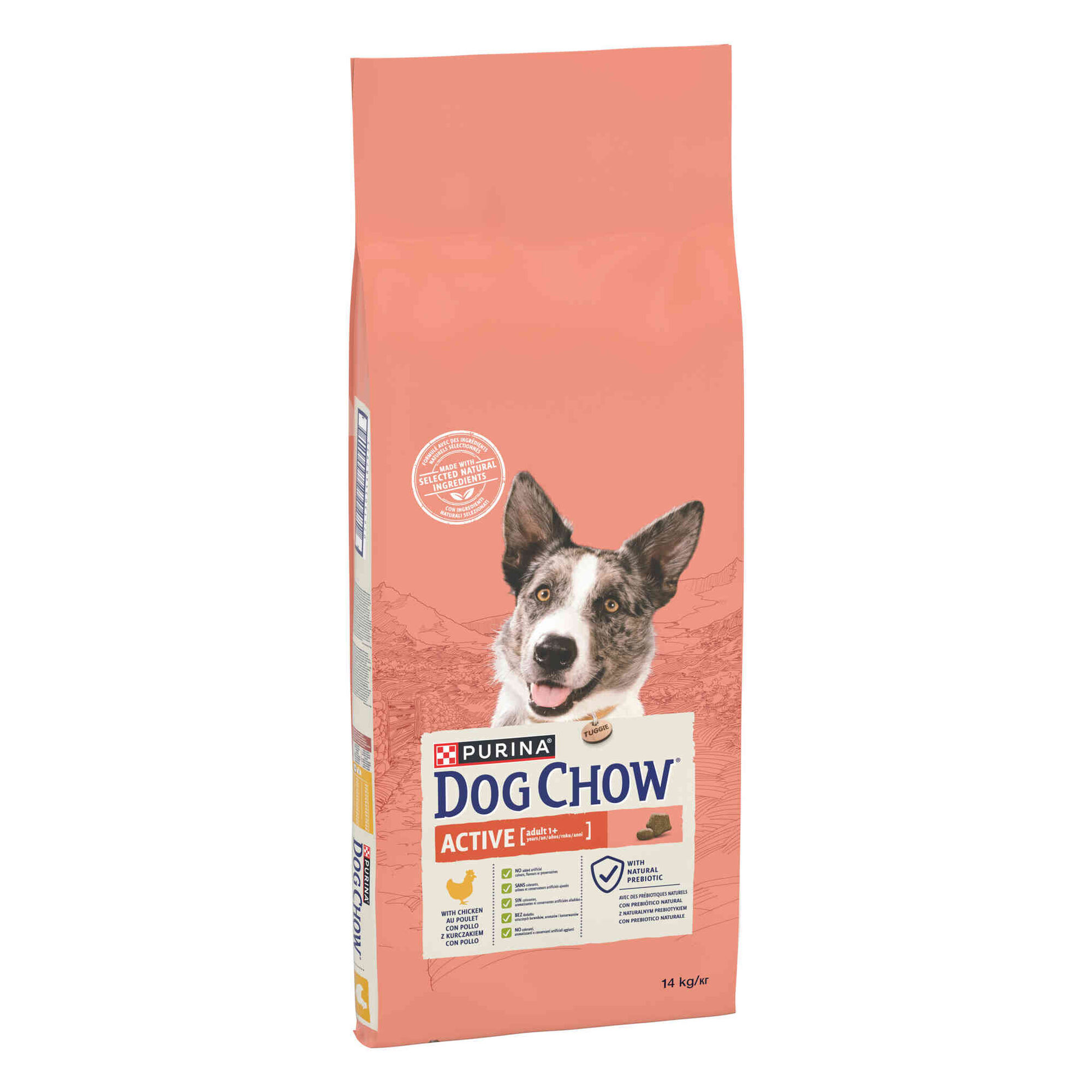 Ração para Cão Adulto Active Frango e Arroz