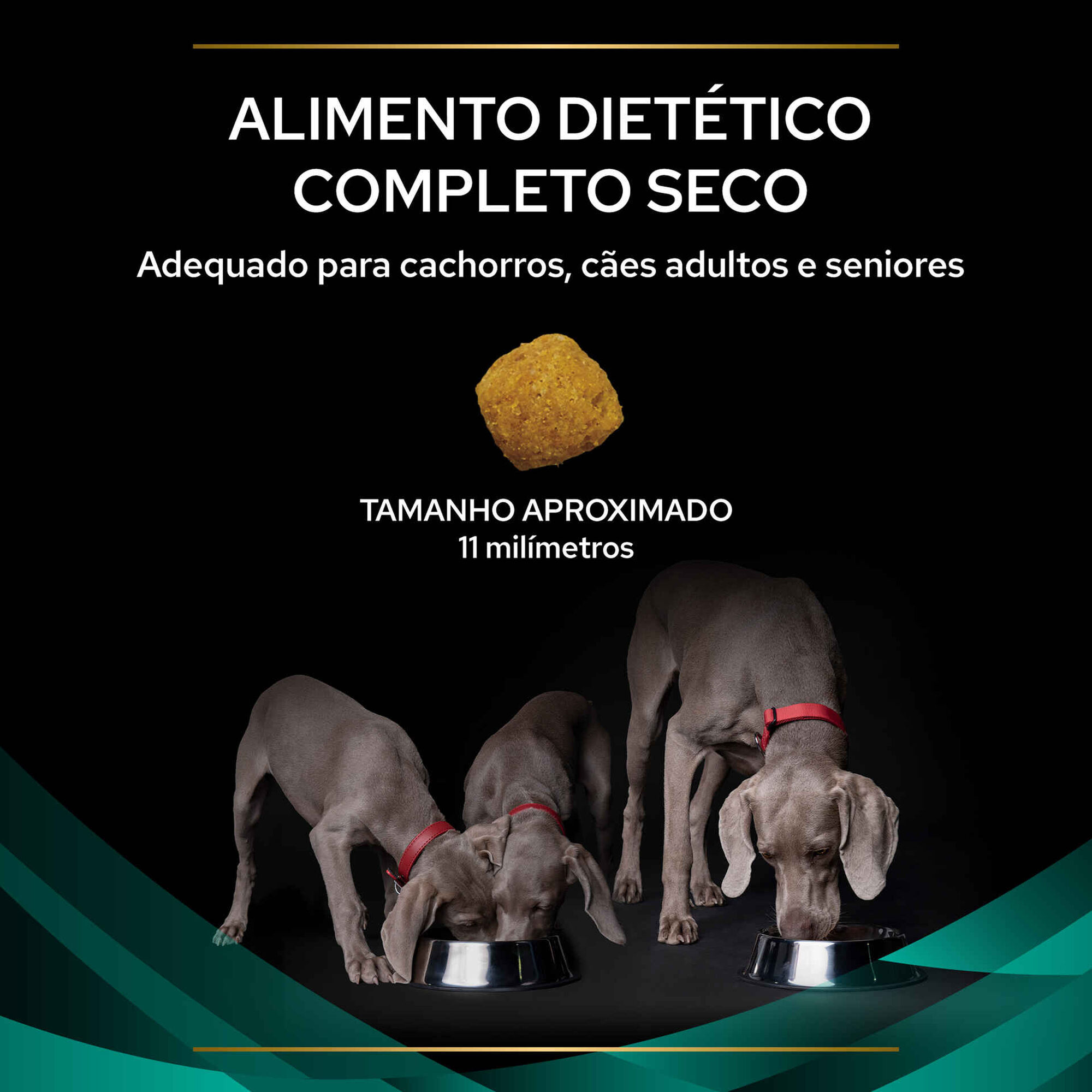 Ração para Cão Adulto Gastrointestinal