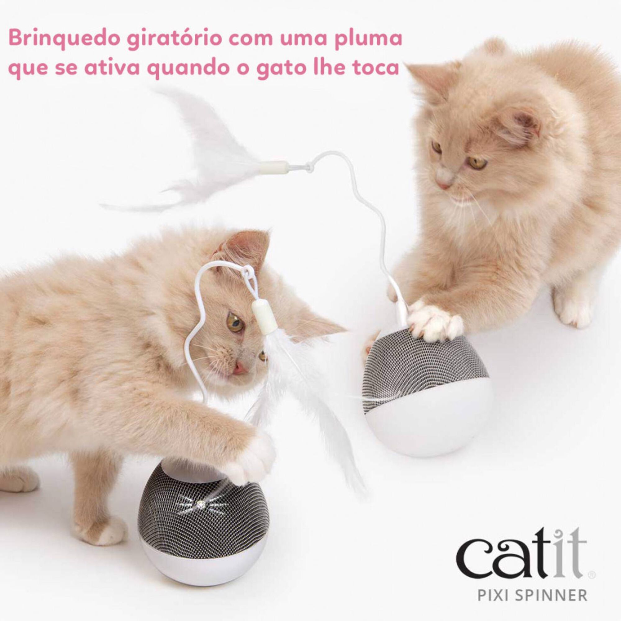 Brinquedo para Gato Pixi Spinner