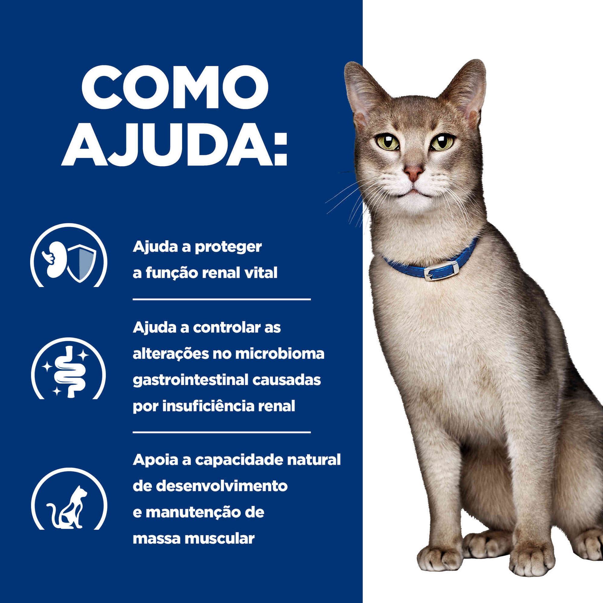 Comida Húmida para Gato Prescription Diet Kidney Care Atum