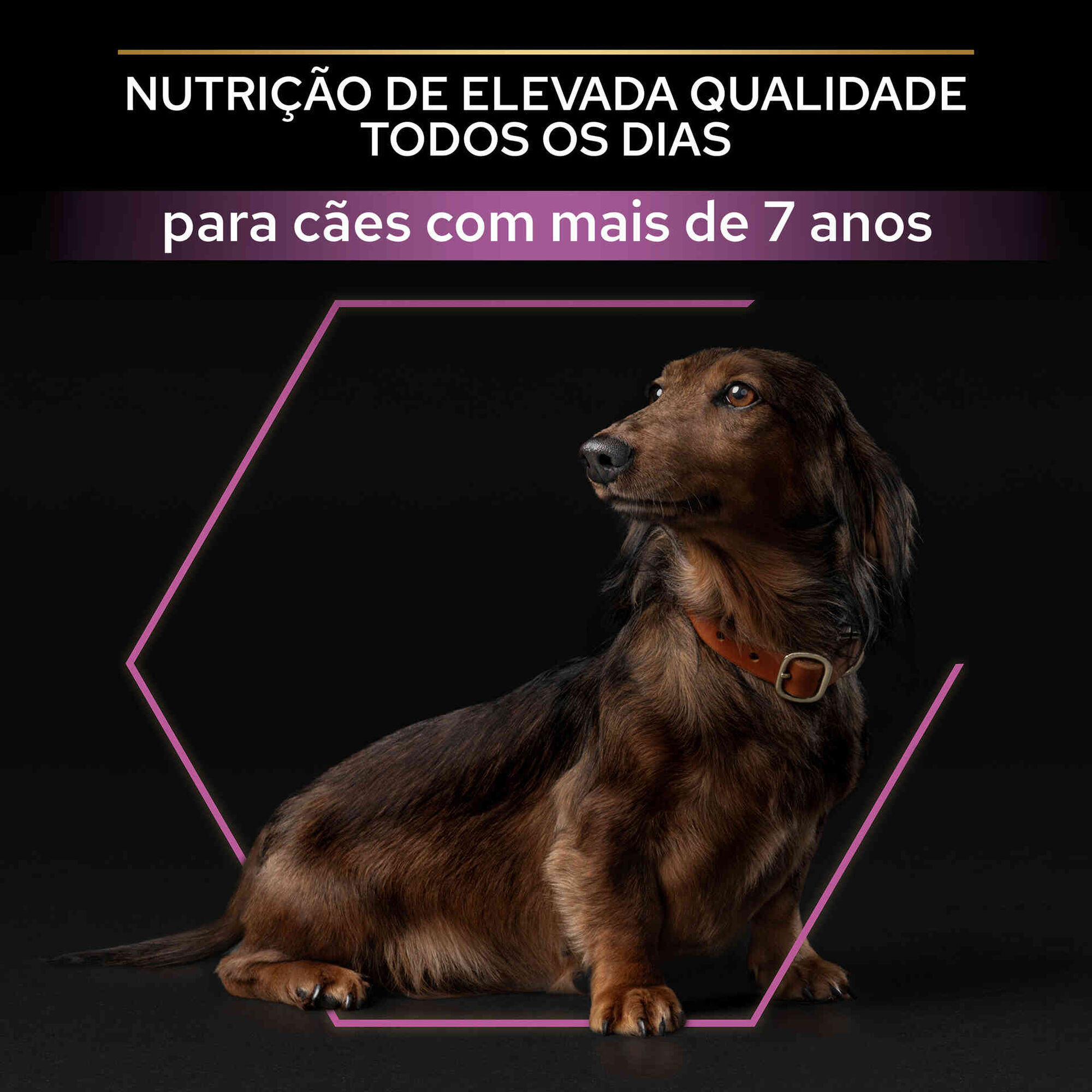 Ração para Cão Sénior Mini Age Defence Frango Ração para Cão Sénior Mini Age Defence Frango