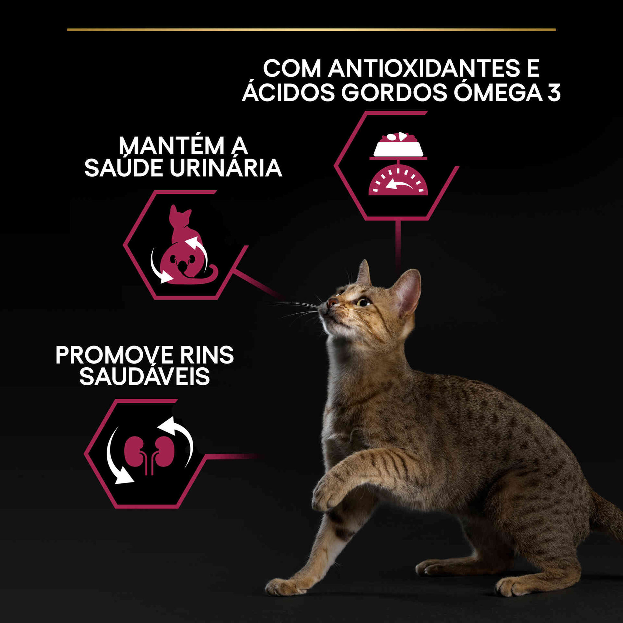Ração para Gato Adulto Esterilizado Savoury Duo Bacalhau e Truta