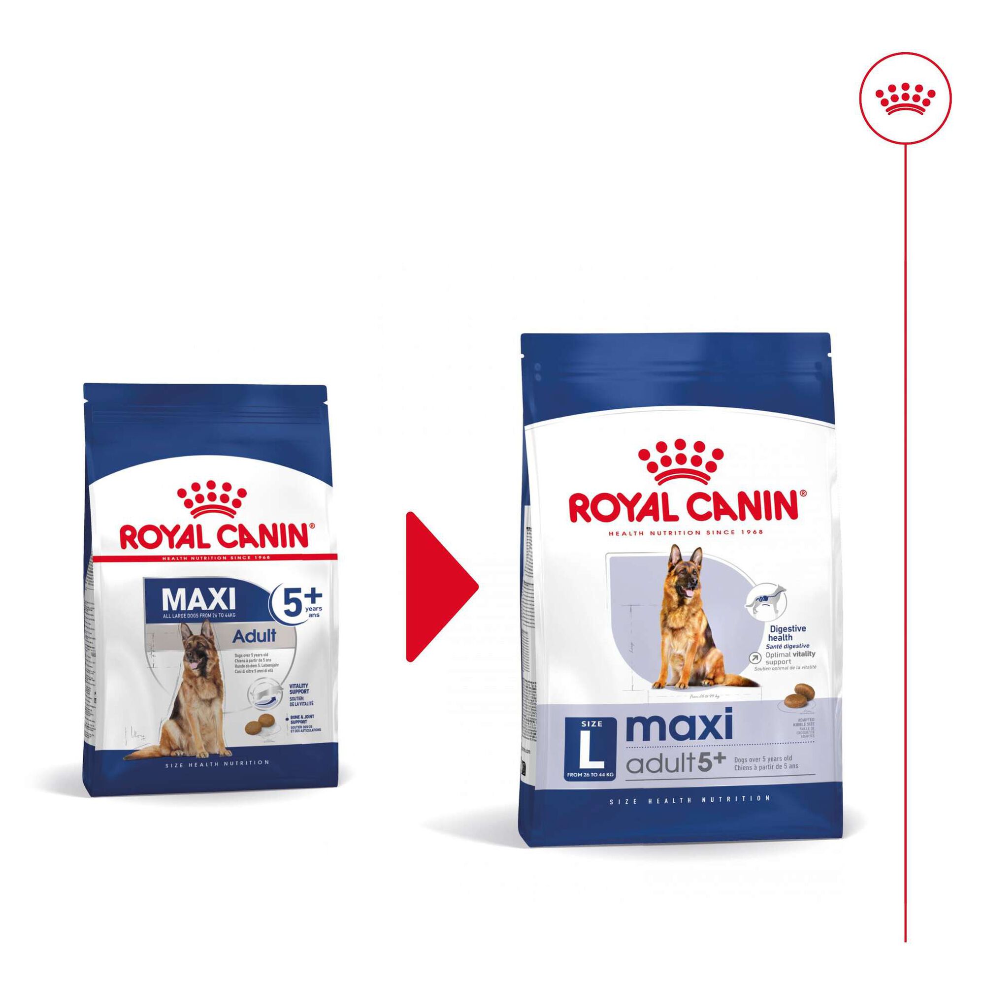 Ração para Cão Adulto Maxi Ageing 5+