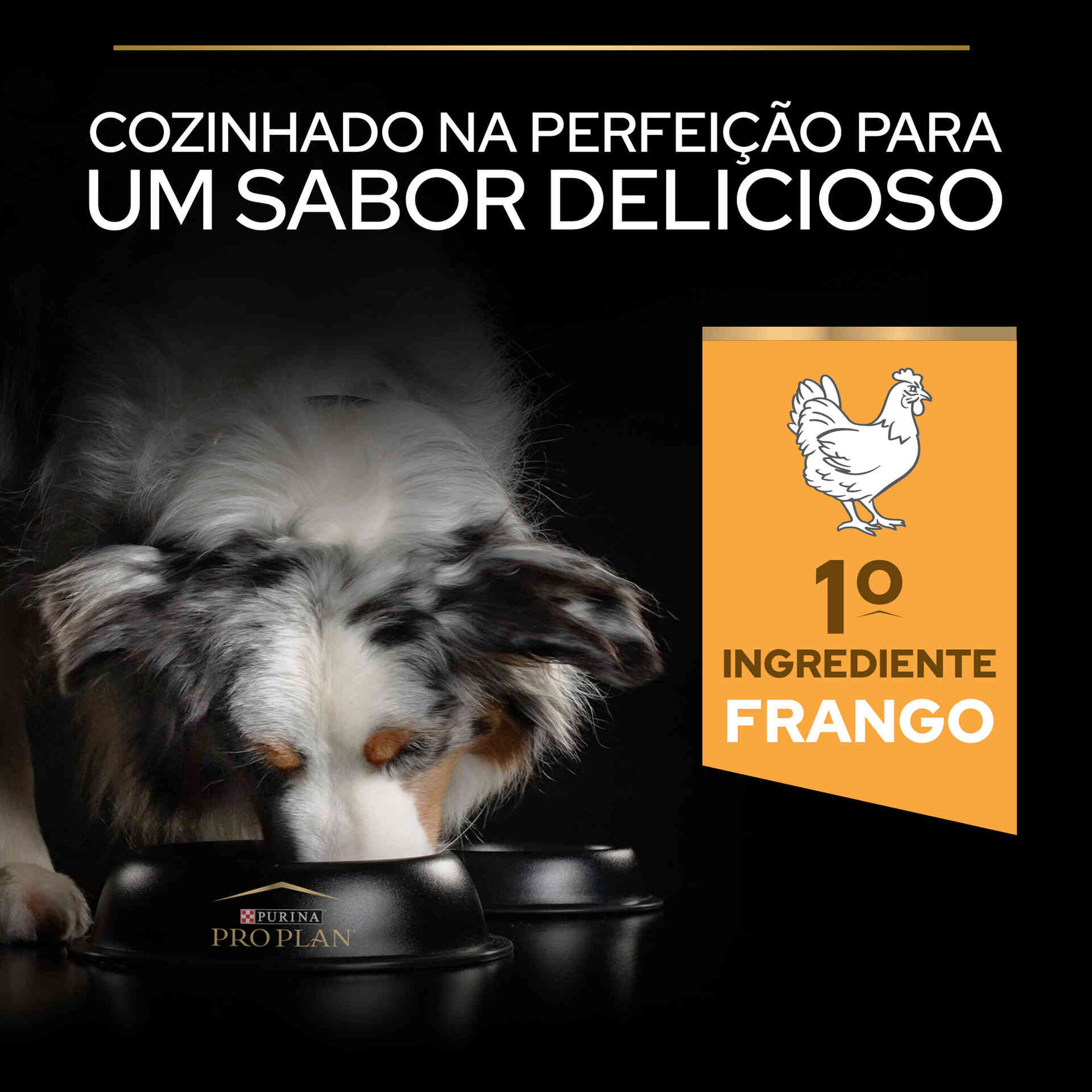 Ração para Cão Adulto Esterilizado Light