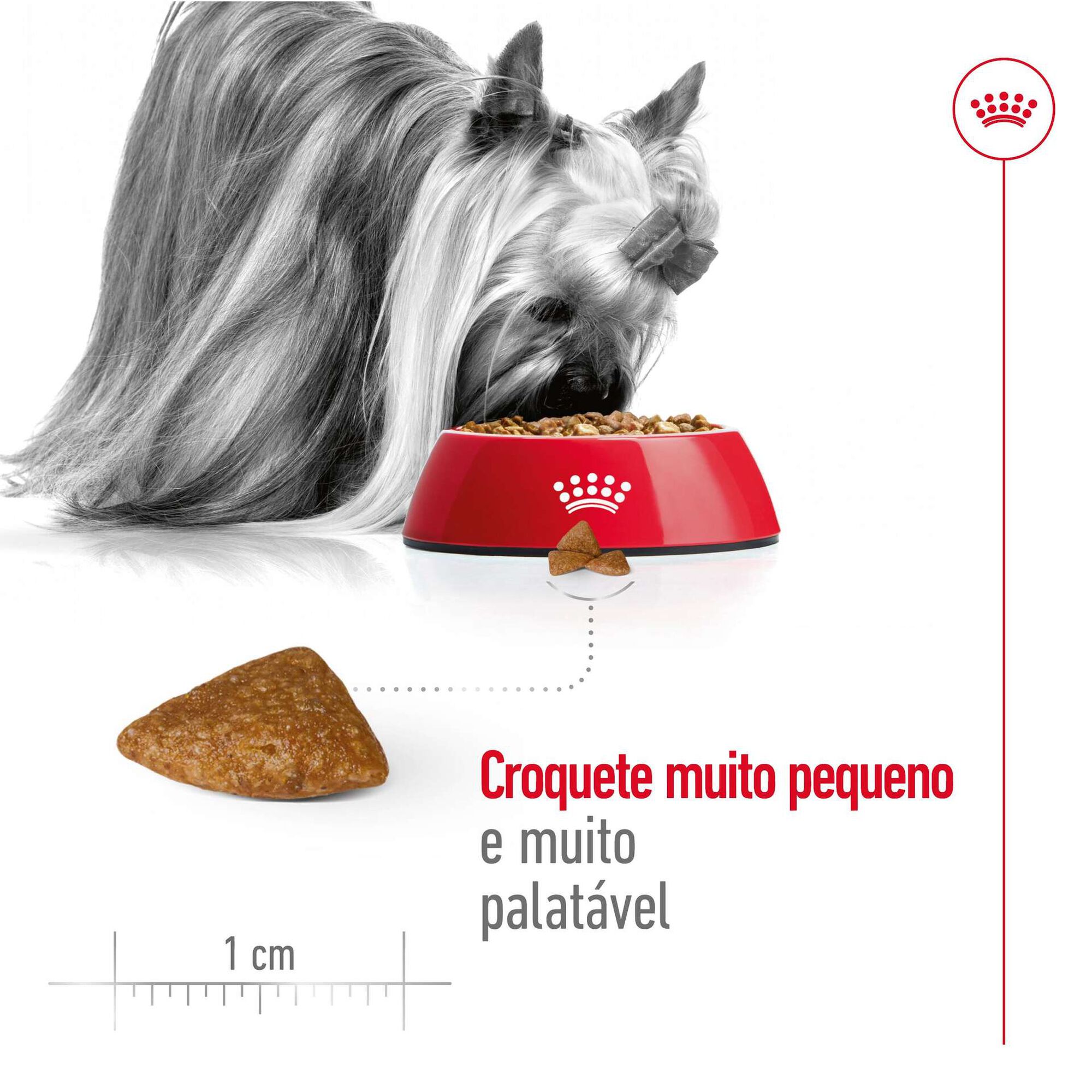 Ração para Cão Sénior X-small Ageing 12+