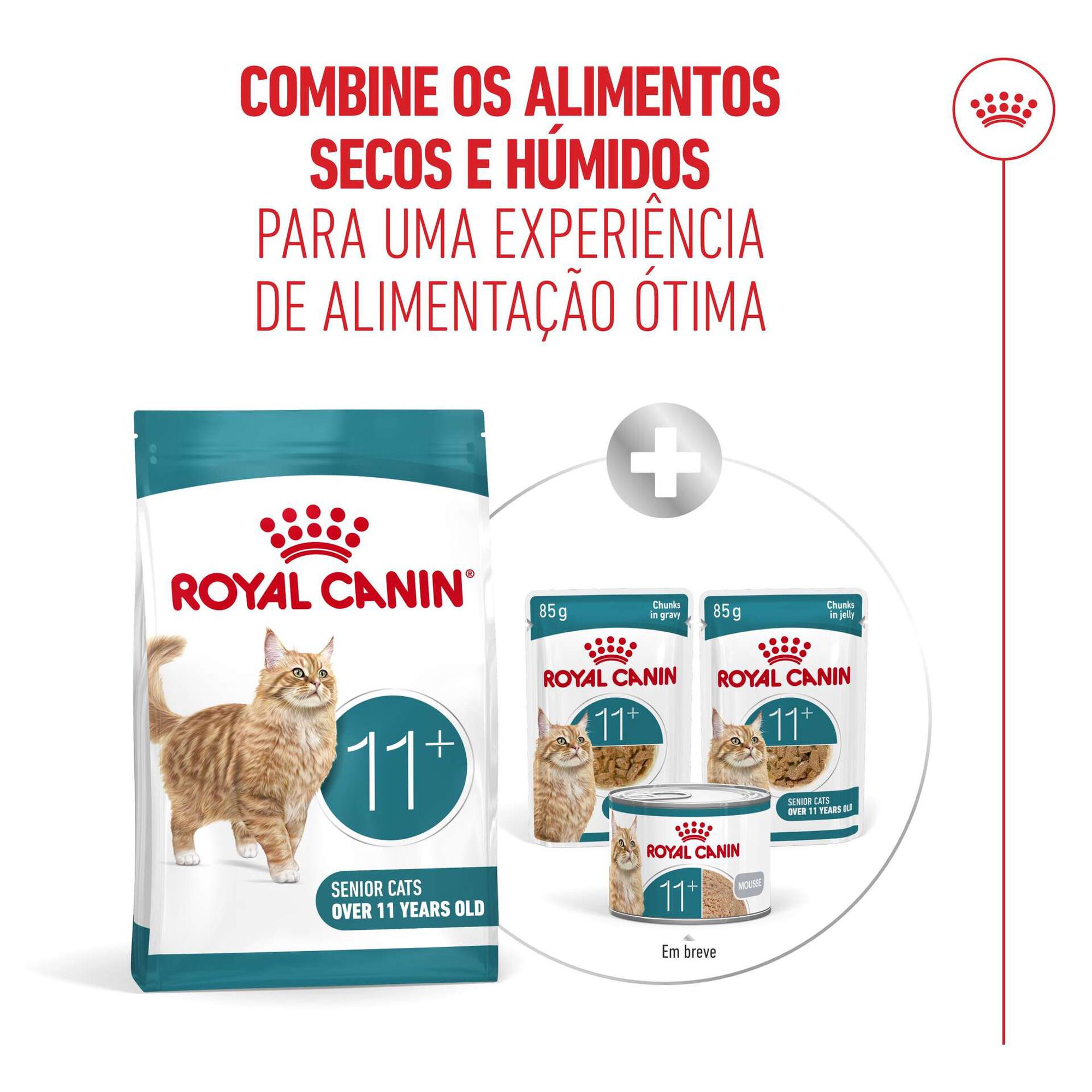 Ração para Gato Sénior Ageing+11