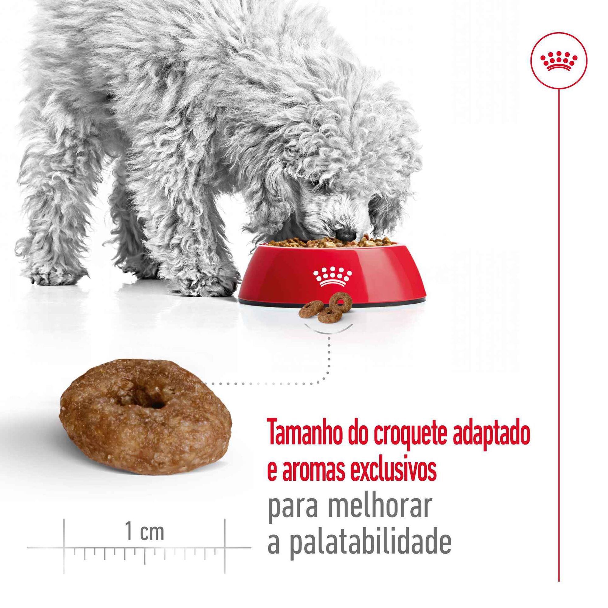 Ração para Cão Sénior Mini Ageing 12+ Ração para Cão Sénior Mini Ageing 12+