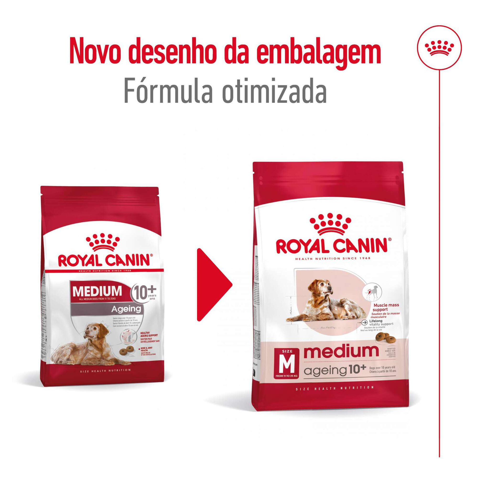 Ração para Cão Sénior Medio Ageing +10