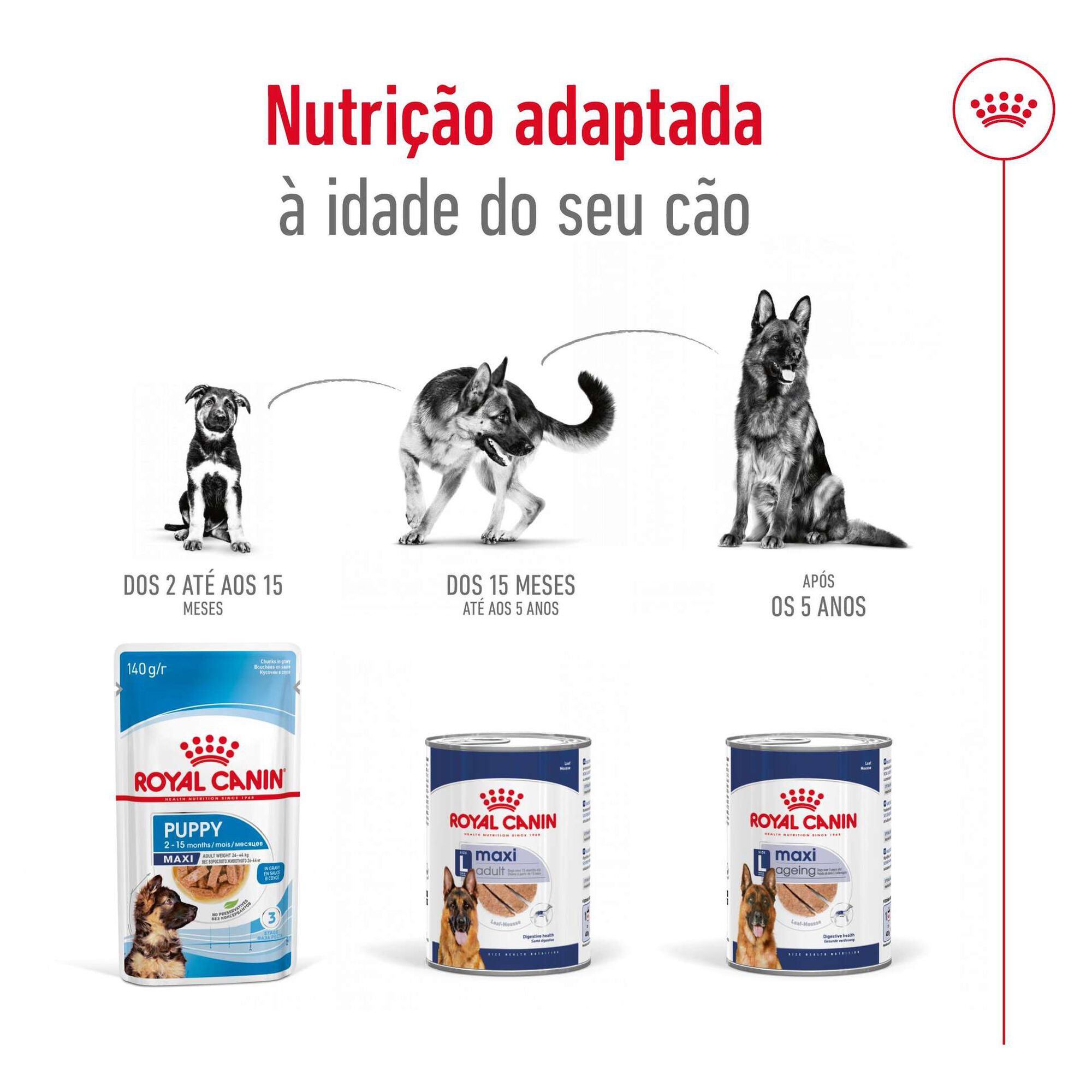 Comida Húmida para Cão Sénior Maxi