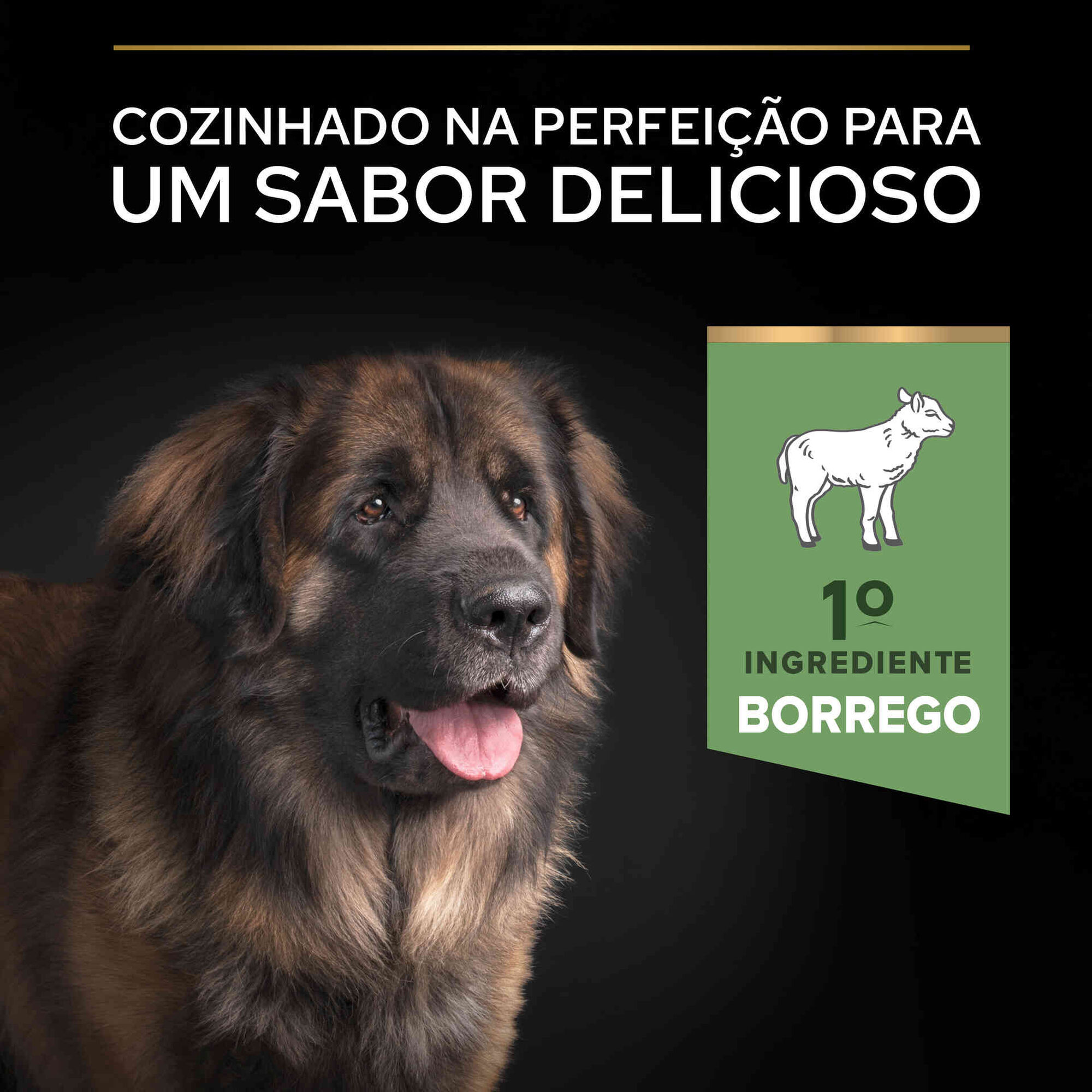 Ração para Cão Adulto Maxi Robusto Sensitive Digestion Borrego