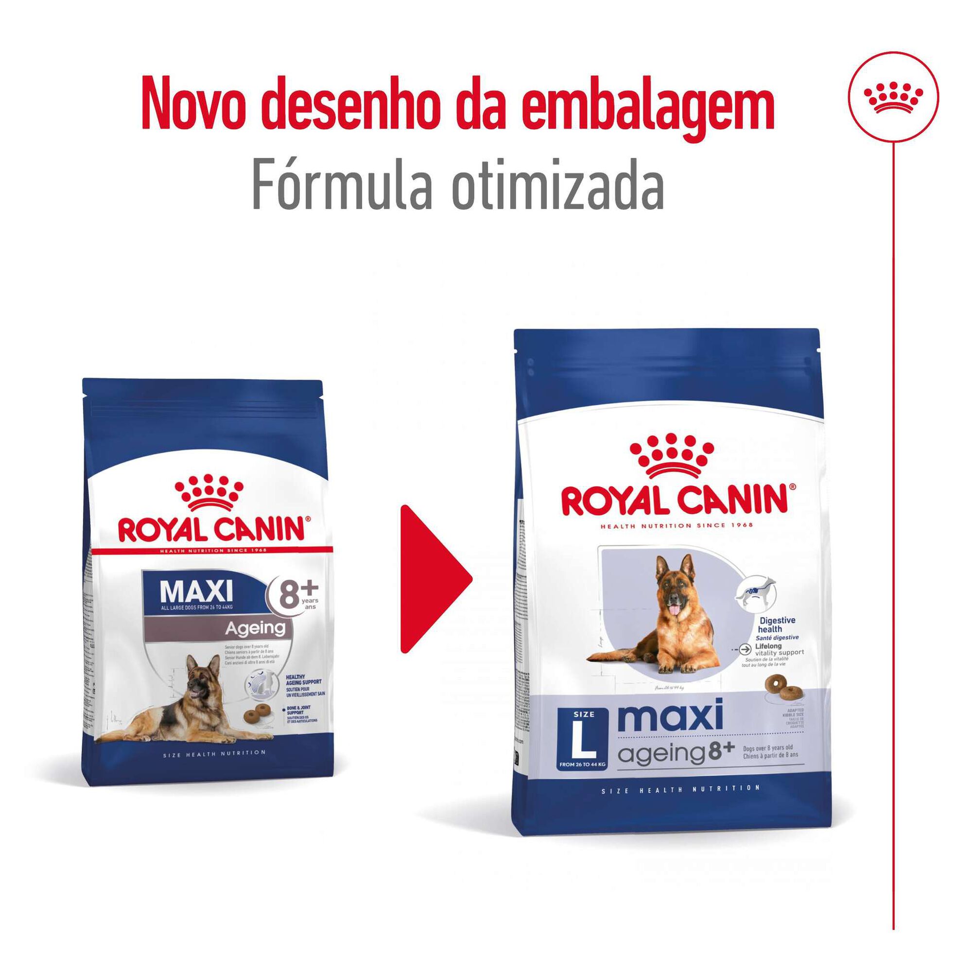 Ração para Cão Adulto Maxi Ageing 8+