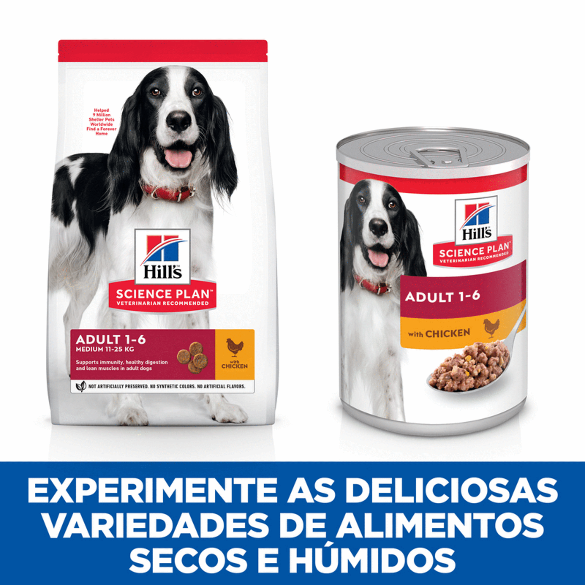 Ração para Cão Adulto Médio Science Plan Frango