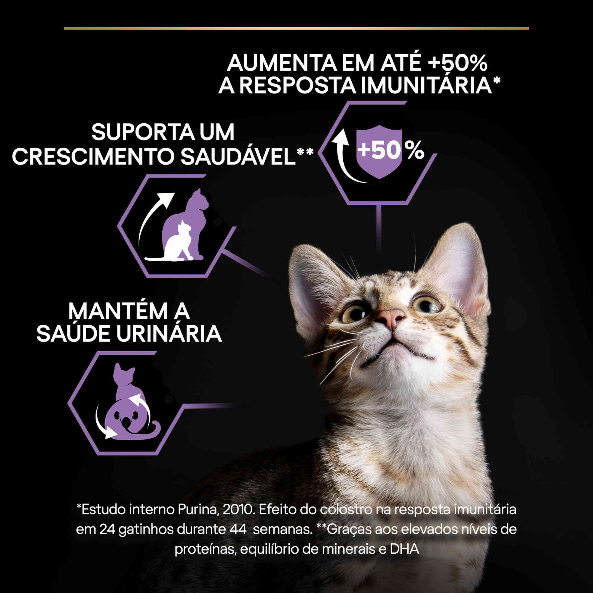 Ração para Gato Júnior Esterilizado Salmão