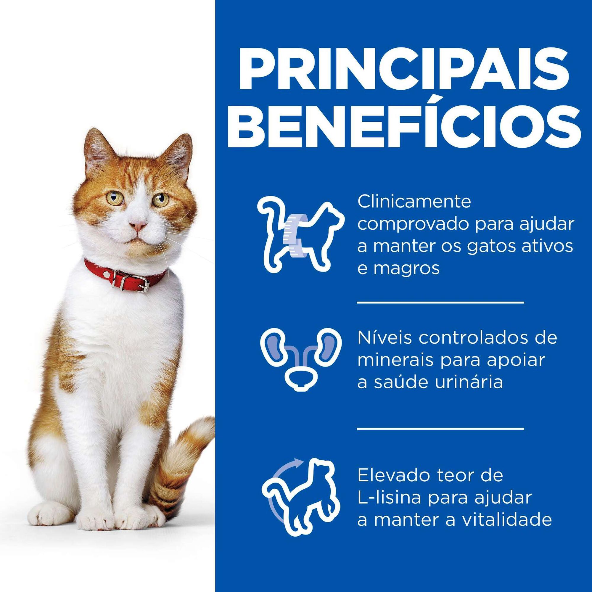 Comida Húmida para Gato Adulto Esterilizado Science Plan Frango