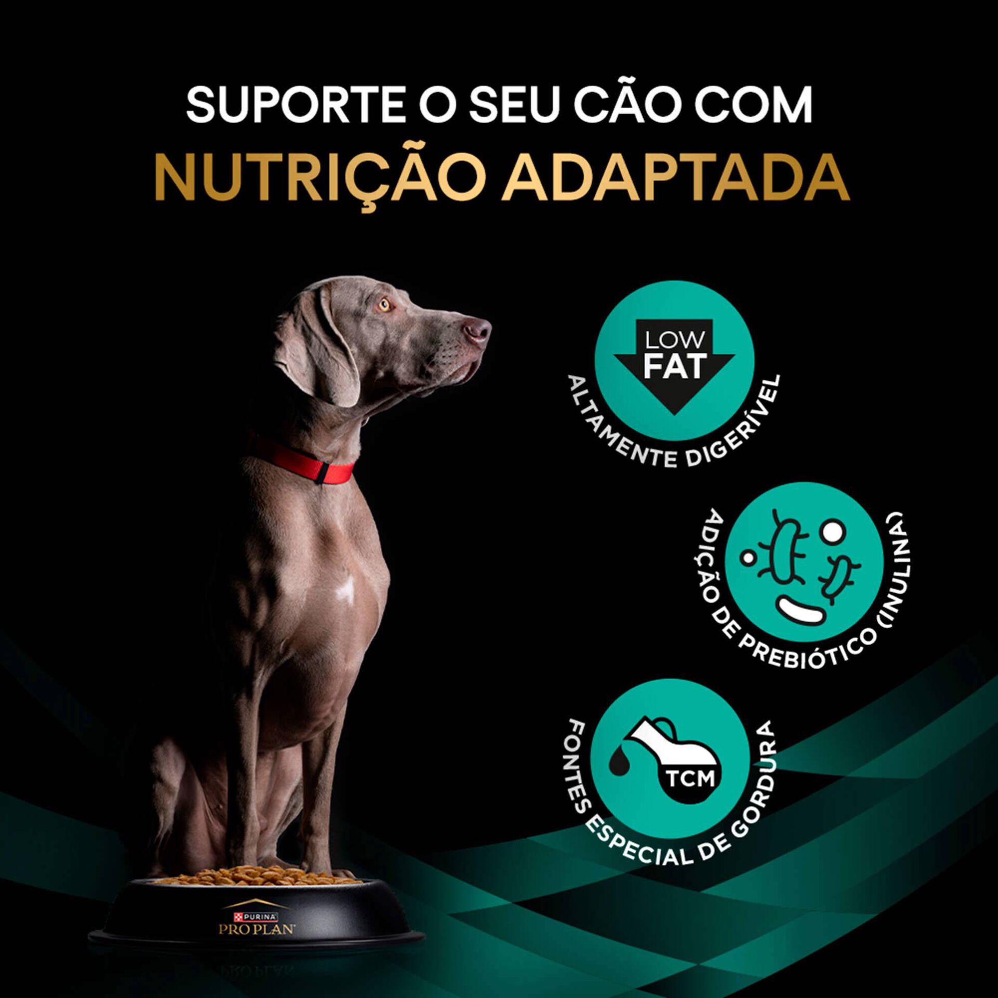 Ração para Cão Adulto Gastrointestinal Low Fat