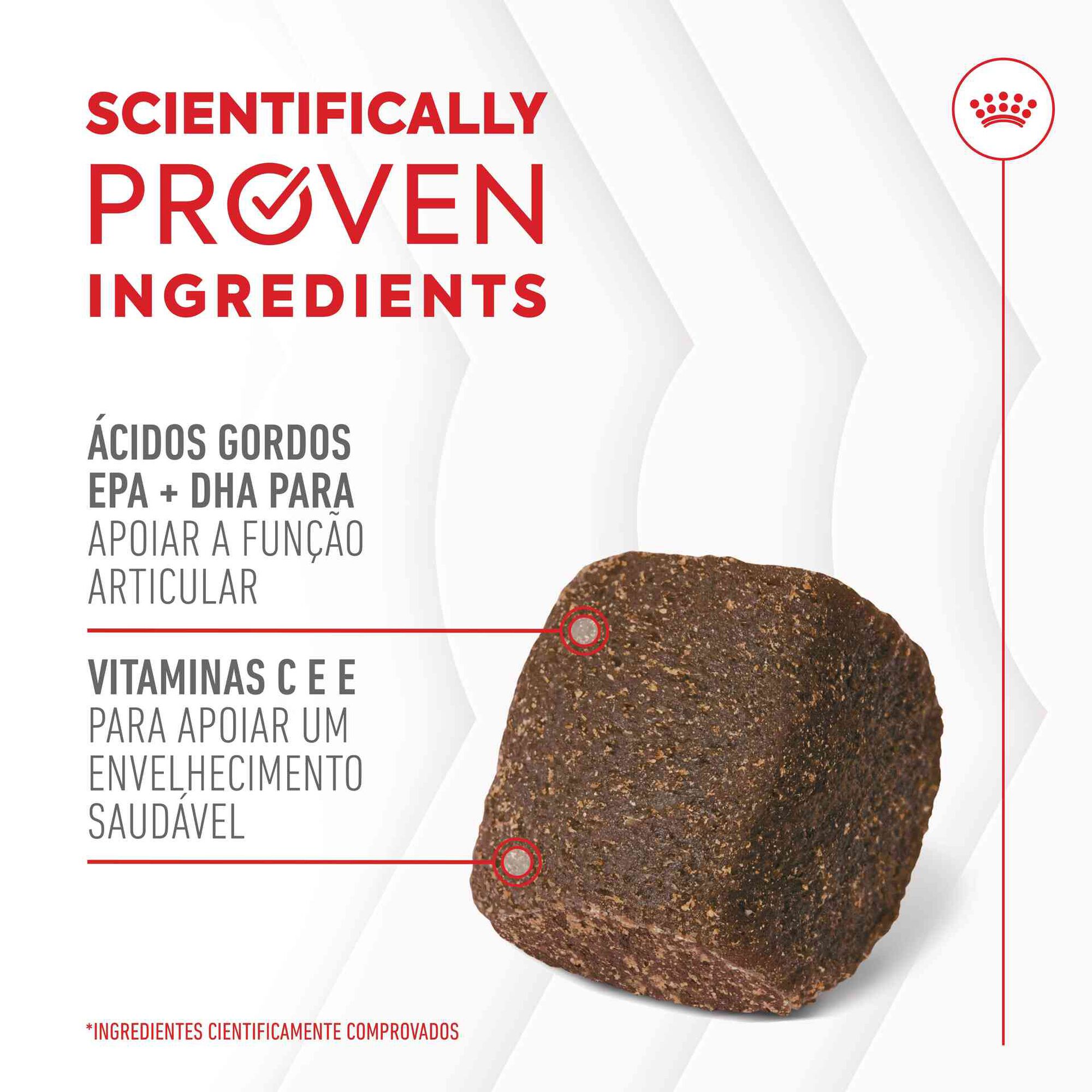 Suplemento Snack para Cão Adulto Joint&Ageing Chews