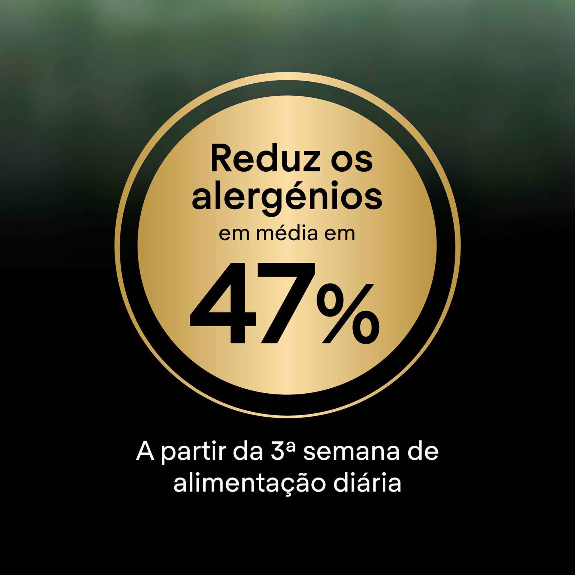 Ração para Gato Júnior Live Clear Peru