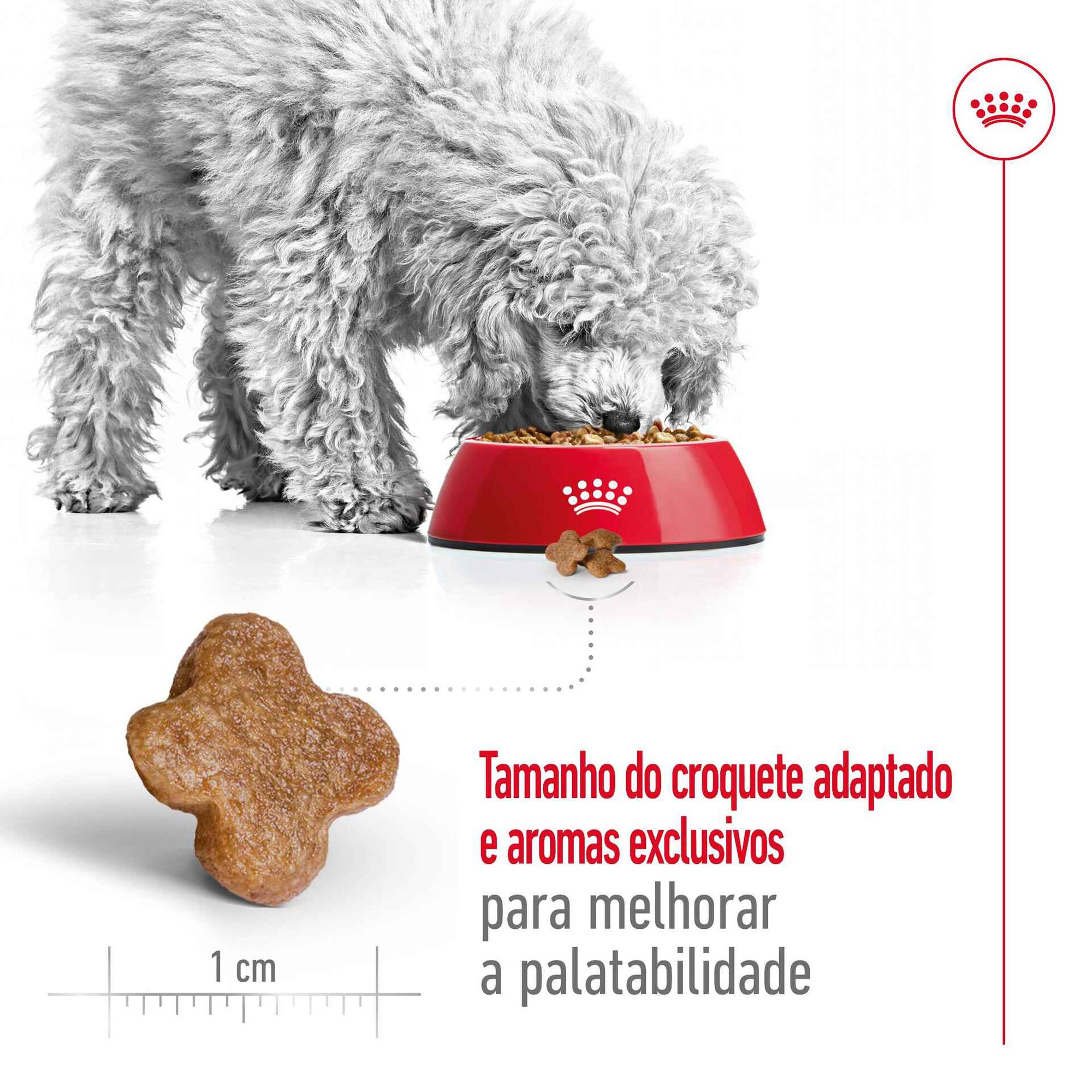 Ração para Cão Sénior Mini Ageing 8+