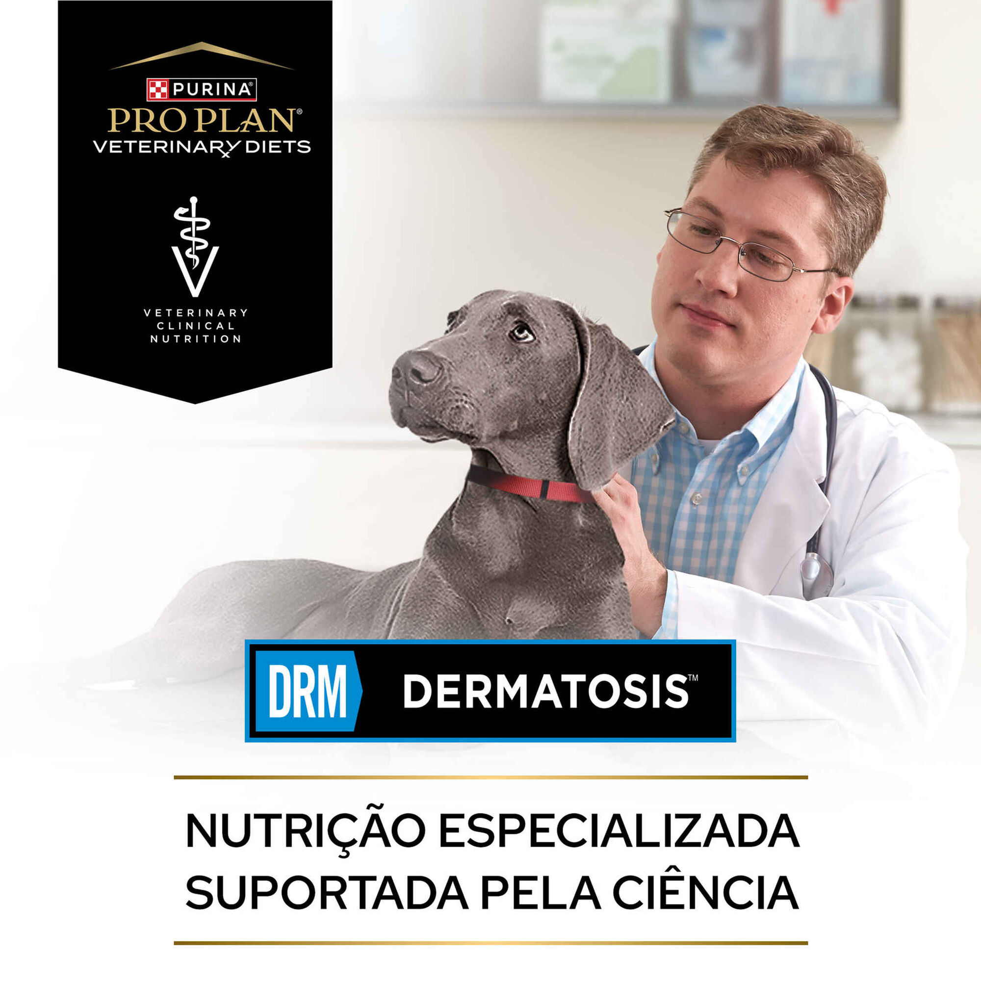 Ração para Cão Adulto Dermatosis