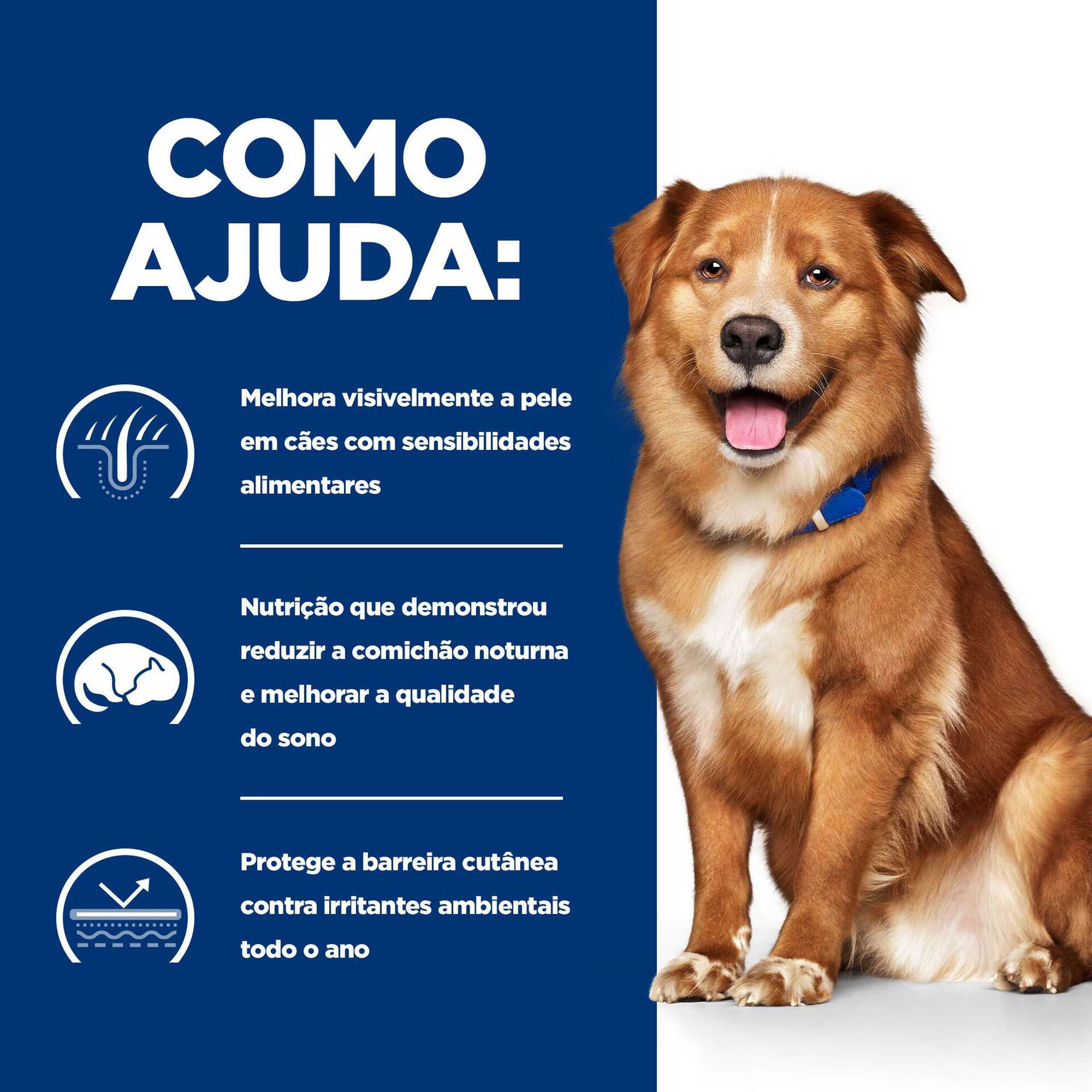 Ra&ccedil;&atilde;o para C&atilde;o Adulto Prescription Diet Derm Complete Frango