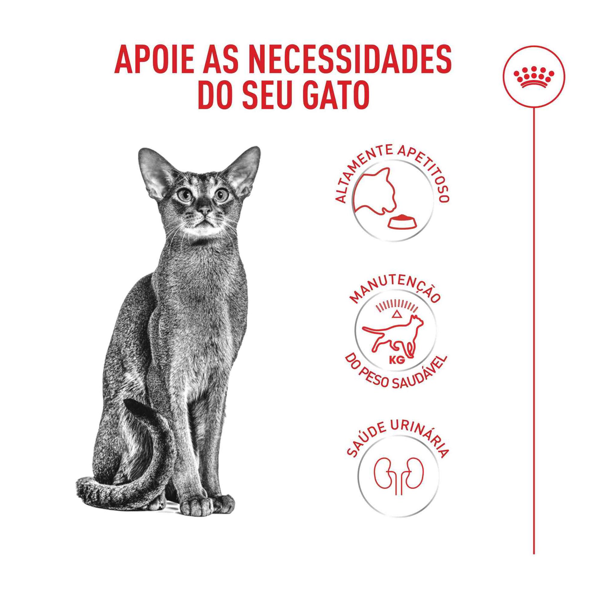 Ração para Gato Adulto Fussy Exigent