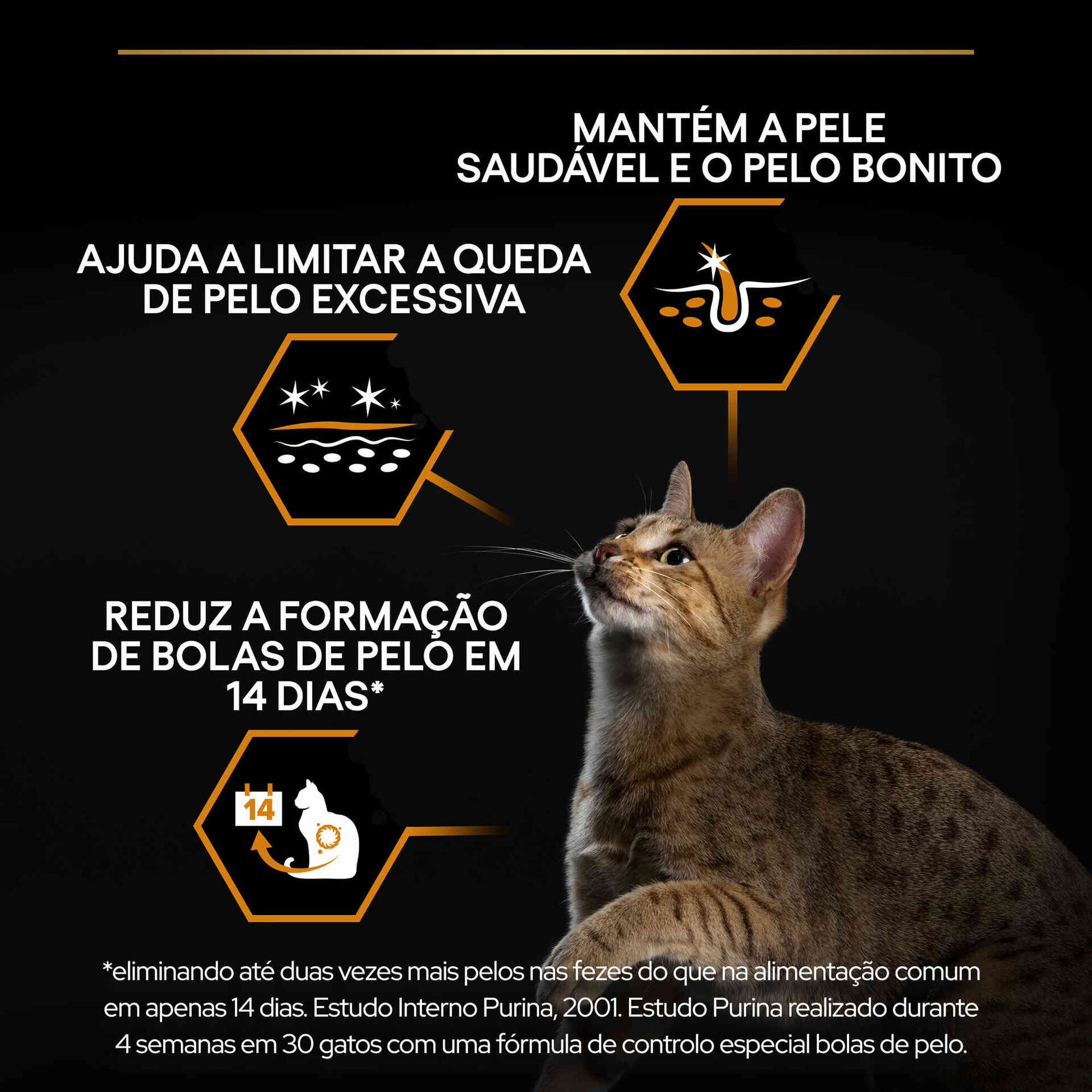Ração para Gato Adulto Derma Care Salmão