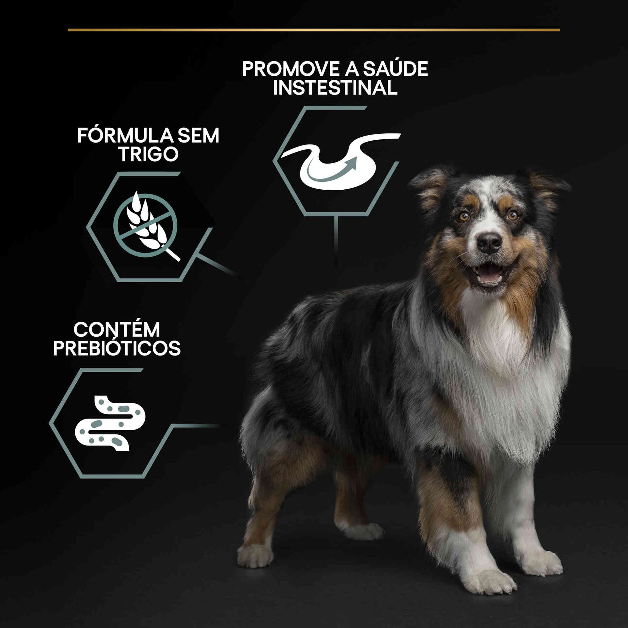 Ração para Cão Adulto Médio e Maxi Sem Cereais Sensitive Digestion Peru