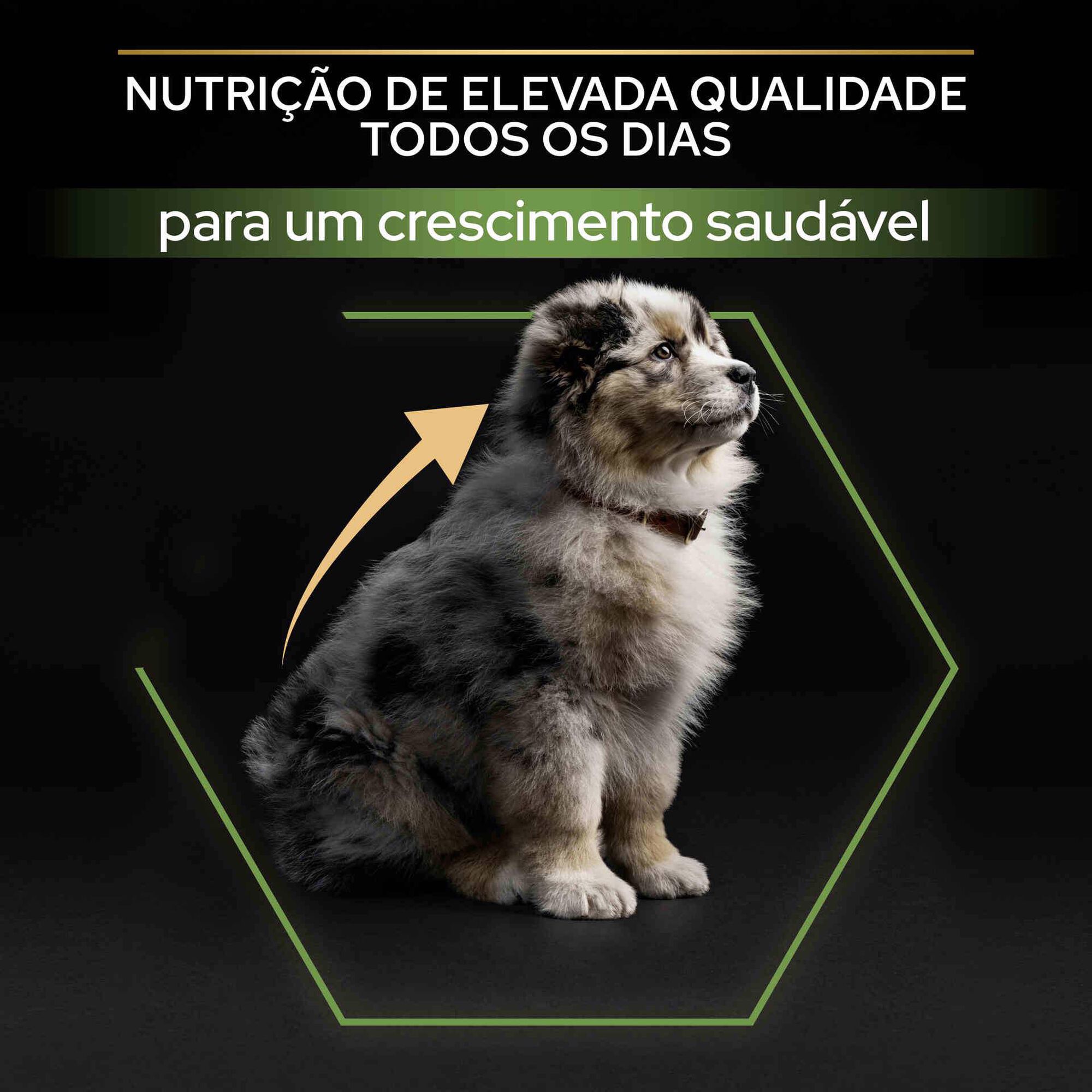 Ração para Cão Júnior Médio Healthy Start