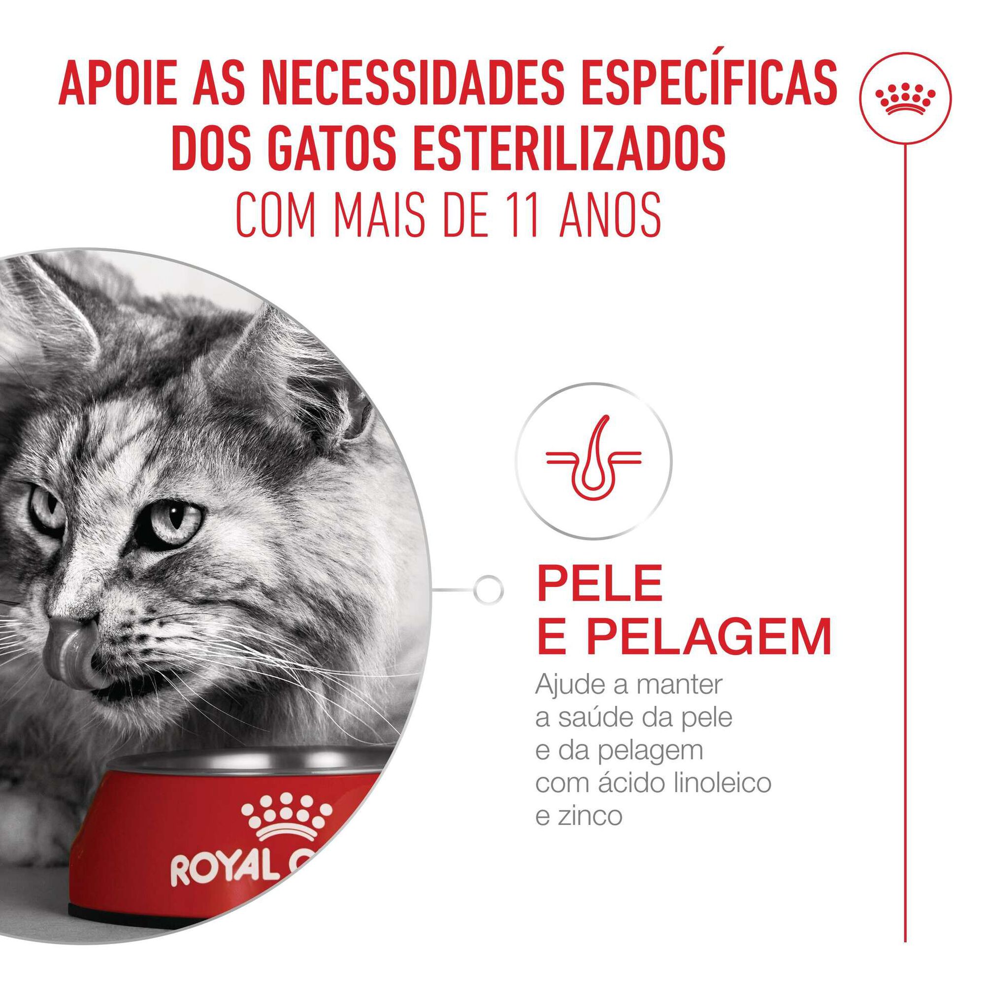 Ração para Gato Sénior Esterilizado Ageing+11