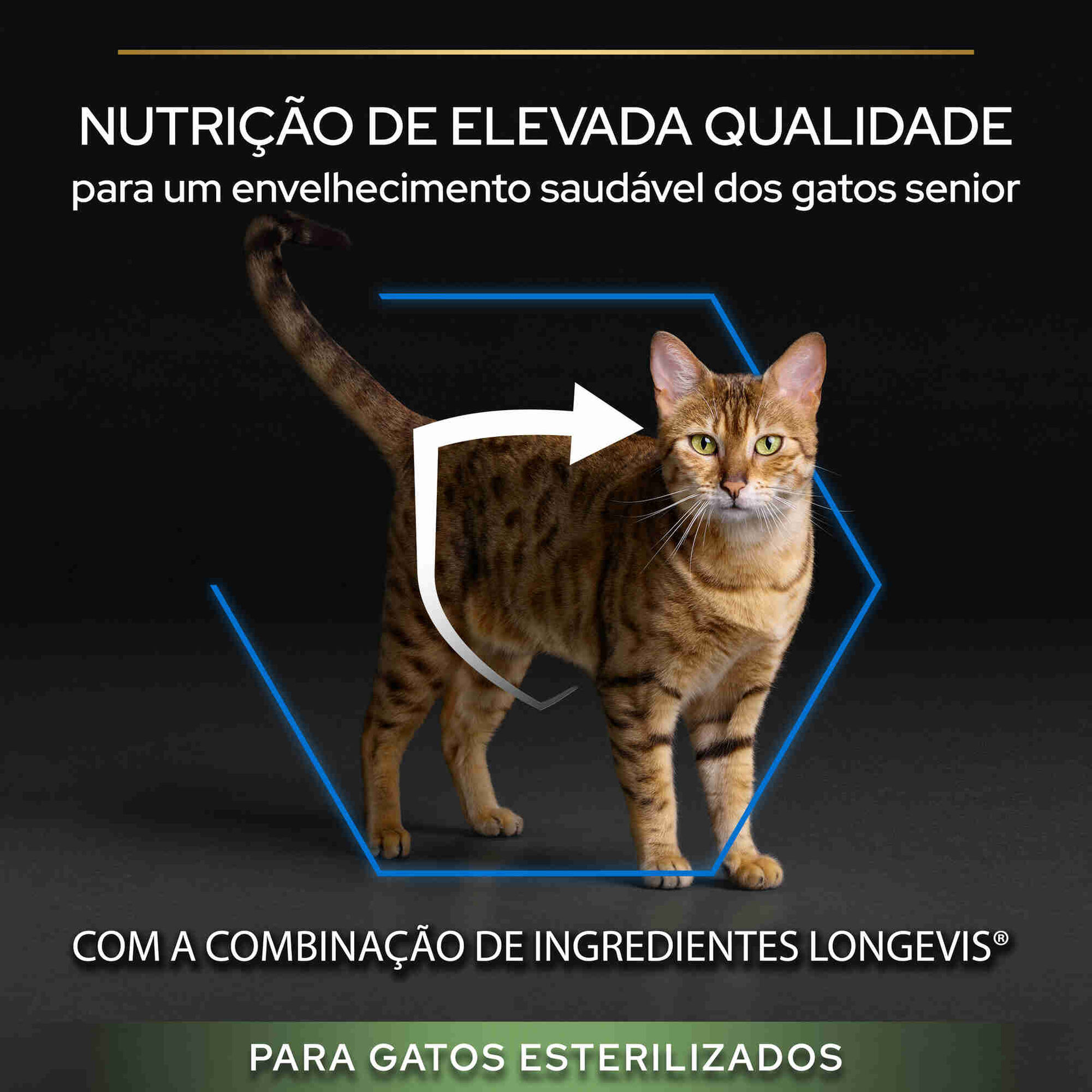 Ração para Gato Sénior Esterilizado Peru +7 Anos