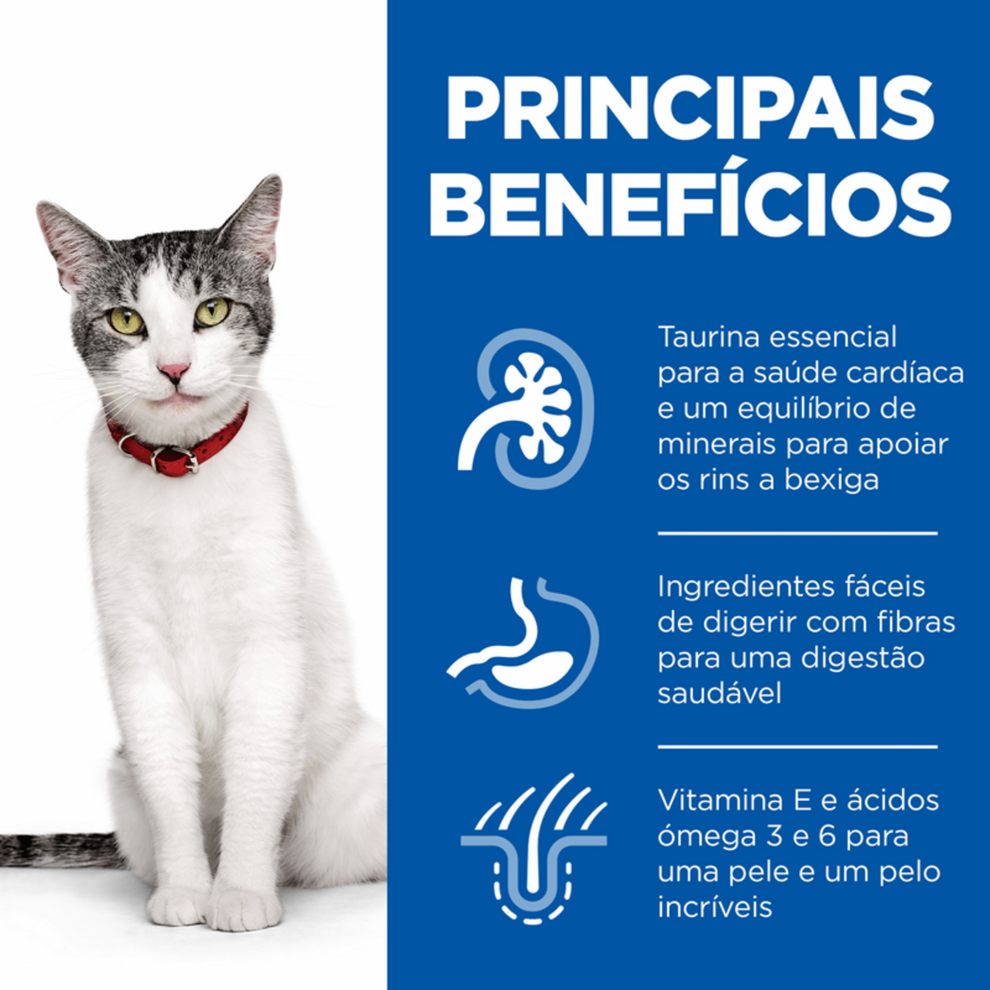 Ração para Gato Adulto Science Plan 11+ Frango Ração para Gato Adulto Science Plan 11+ Frango