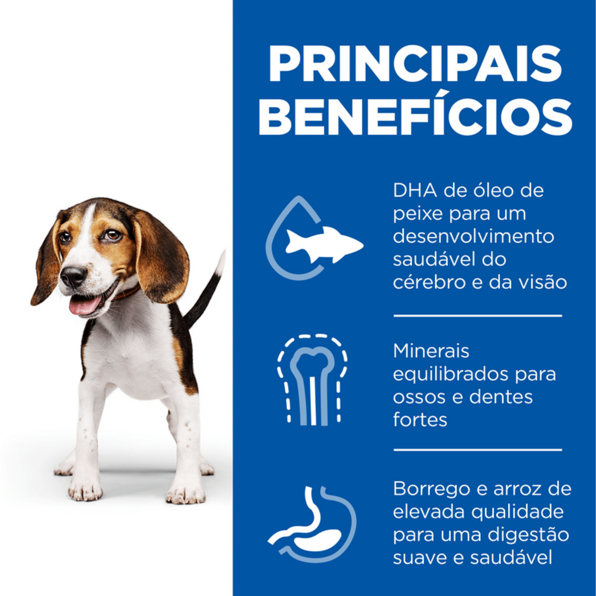 Ração para Cão Júnior Médio Science Plan Borrego e Arroz