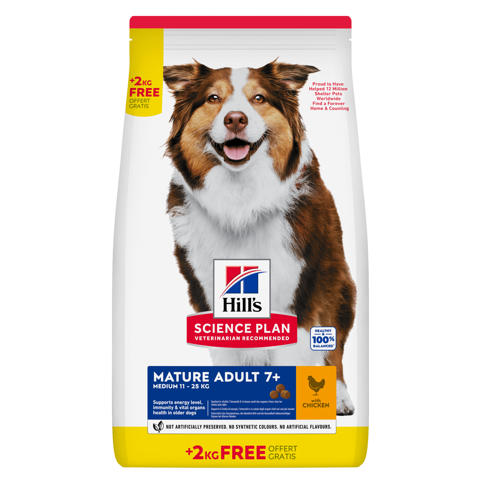 Ração para Cão Sénior Science Plan Frango