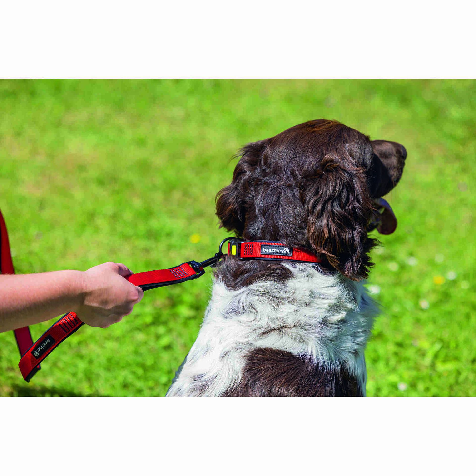 Trela para Cão Treino Nylon Vermelha