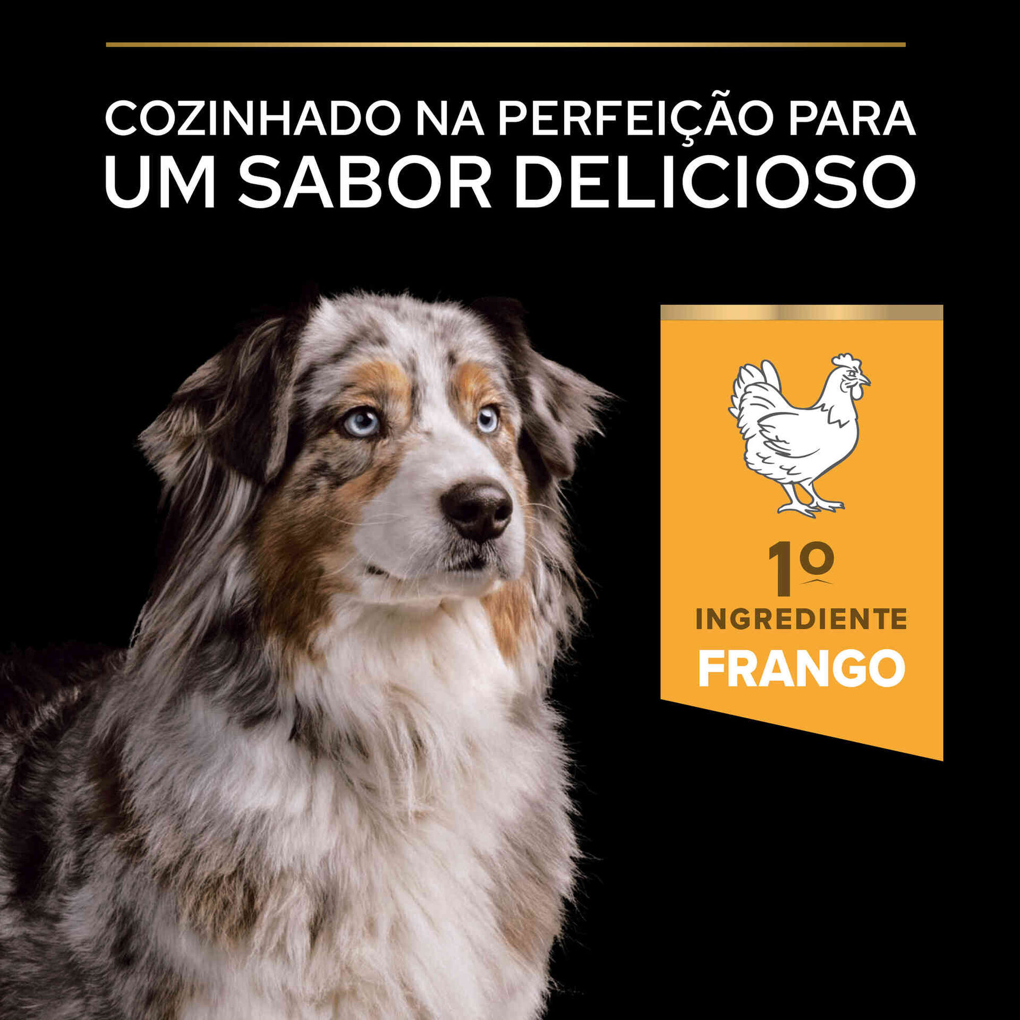 Ração para Cão Adulto Médio e Maxi Age Defence Frango