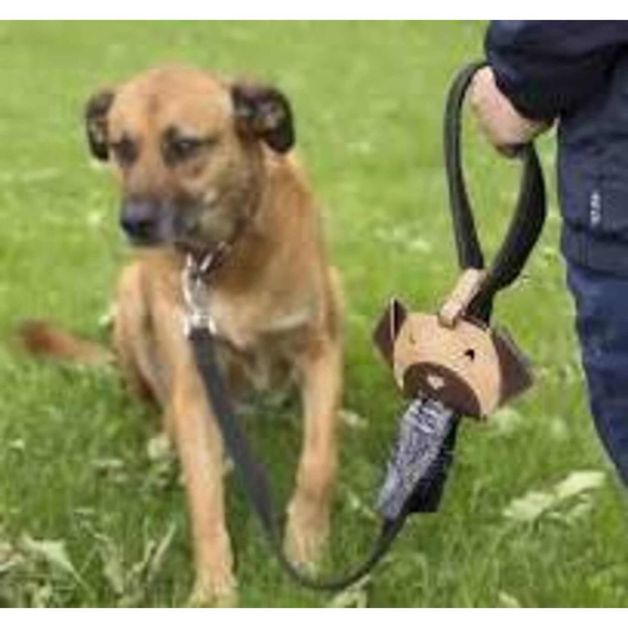 Dispensador de Sacos de Dejetos