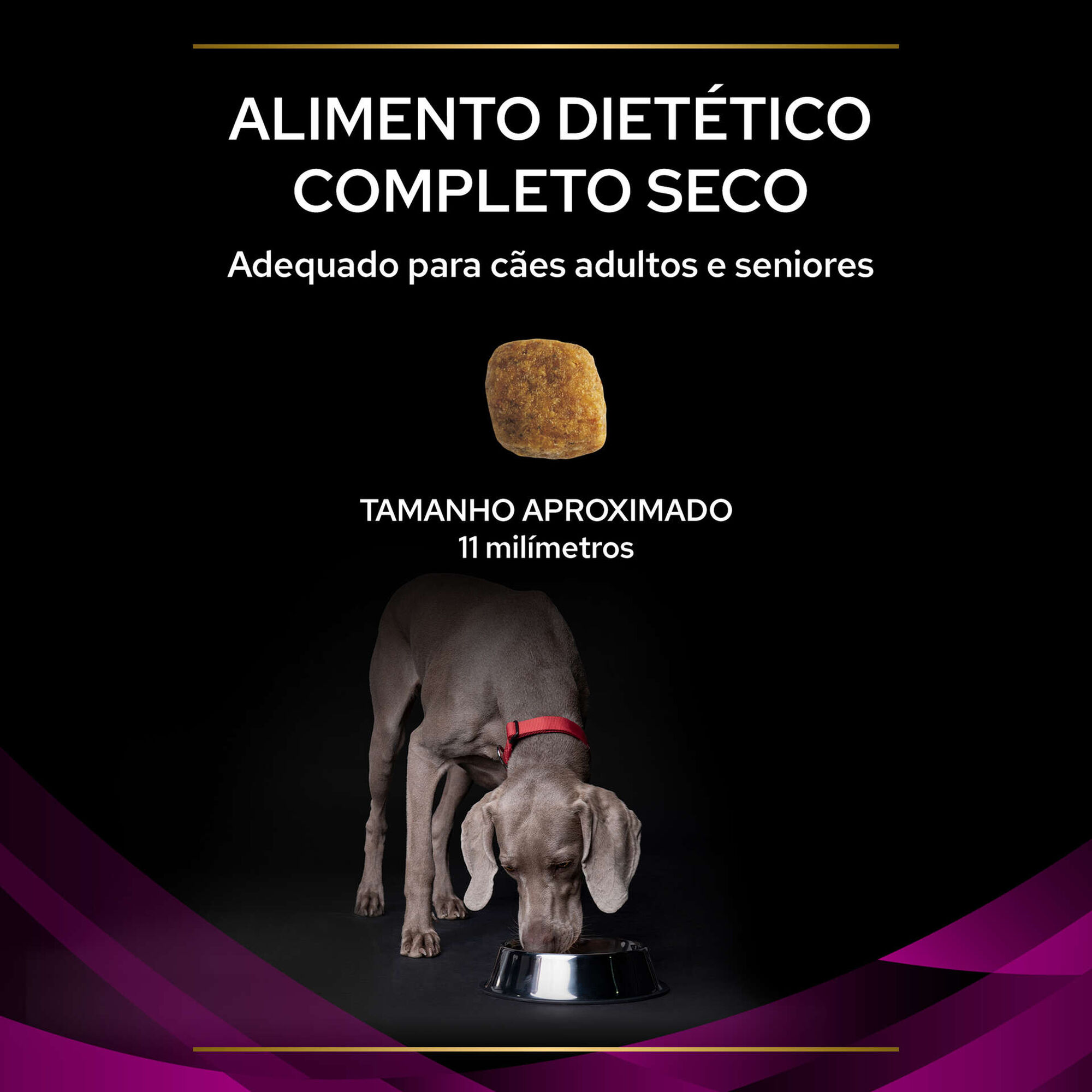 Ração para Cão Adulto Urinary