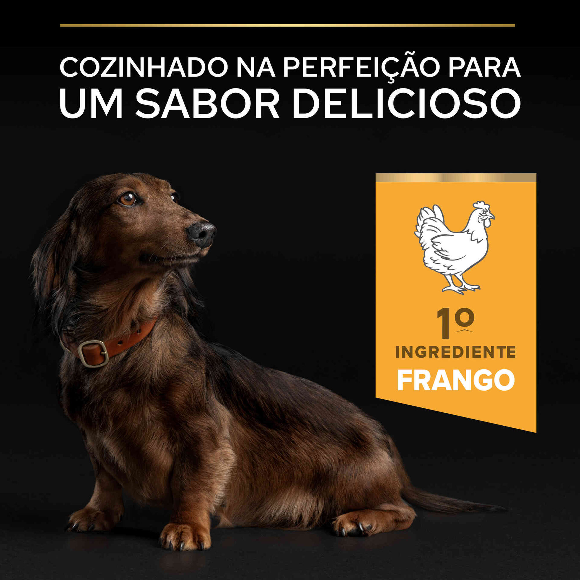 Ração para Cão Sénior Mini Age Defence Frango Ração para Cão Sénior Mini Age Defence Frango