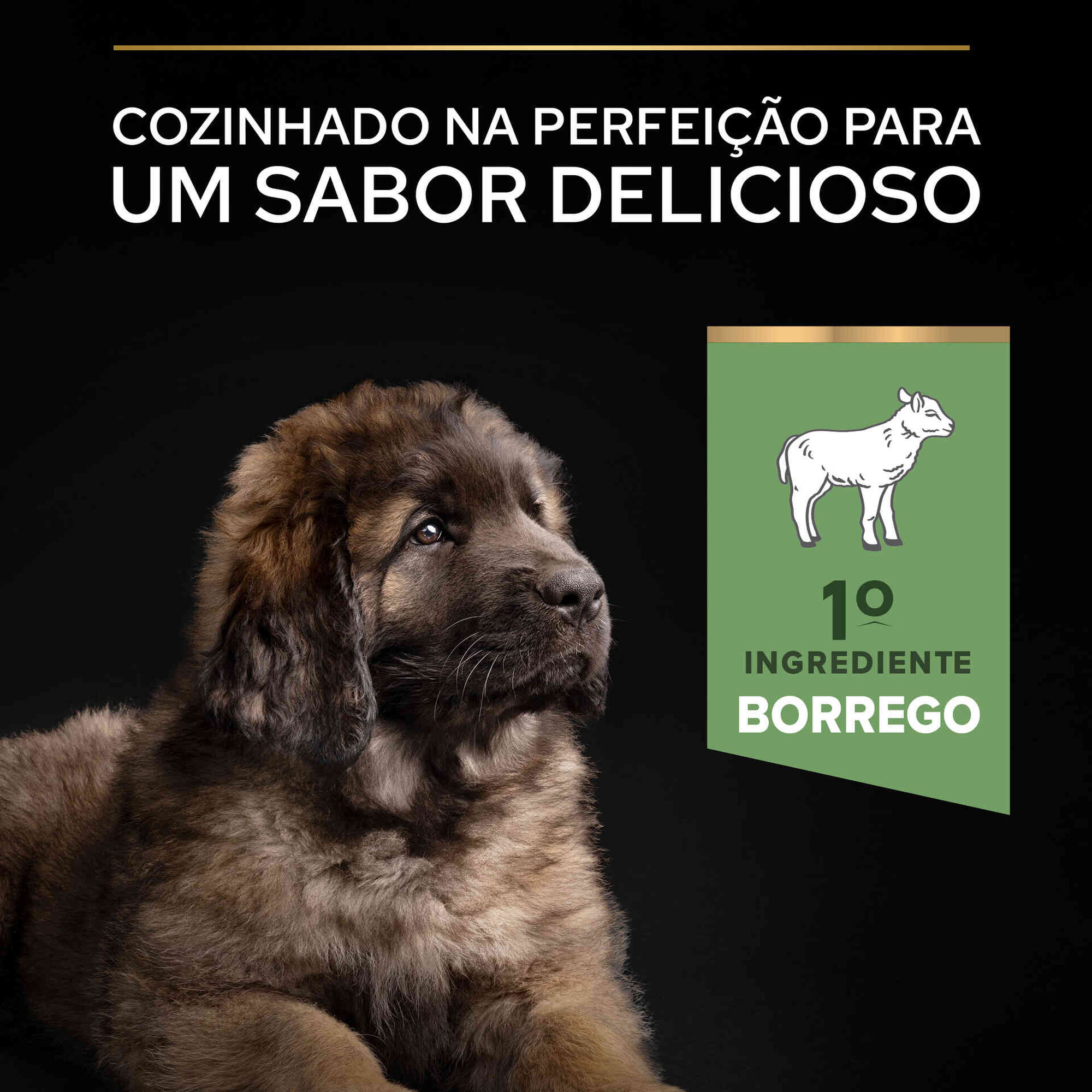 Ração para Cão Júnior Maxi Robust Sensitive Digestion Borrego