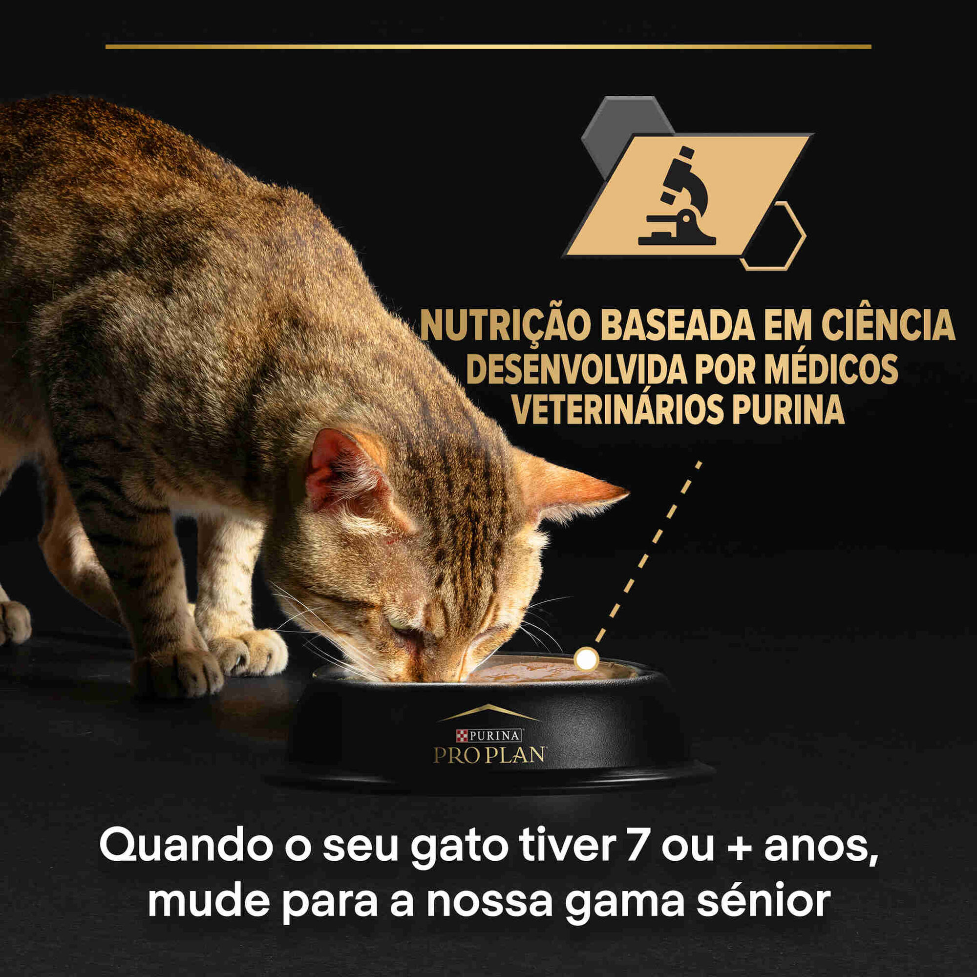 Comida Húmida para Gato Adulto Esterilizado Indoor Salmão