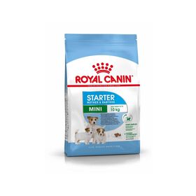 Ração para Cão Adulto Mini Starter