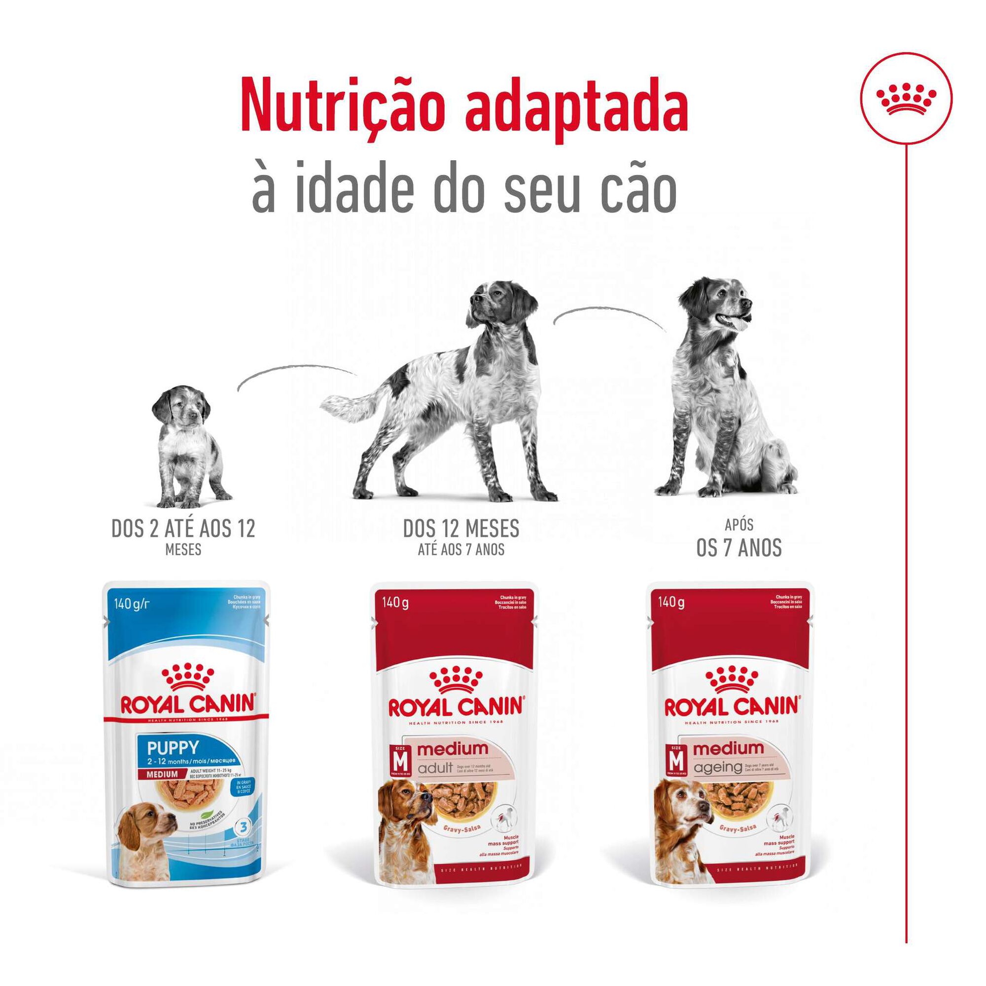 Comida Húmida para Cão Adulto Médio Saquetas