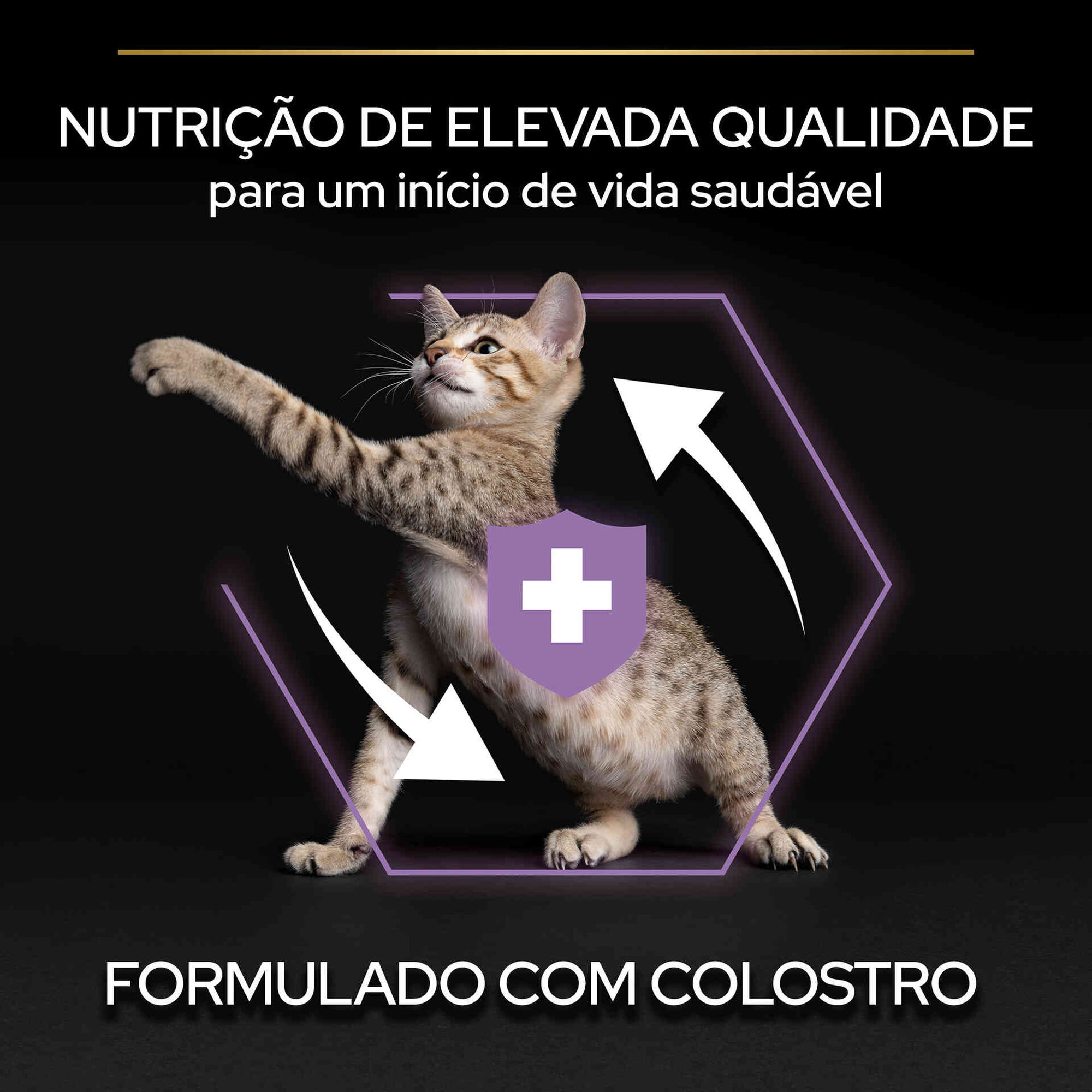 Ração para Gato Júnior Healthy Start Frango Ração para Gato Júnior Healthy Start Frango