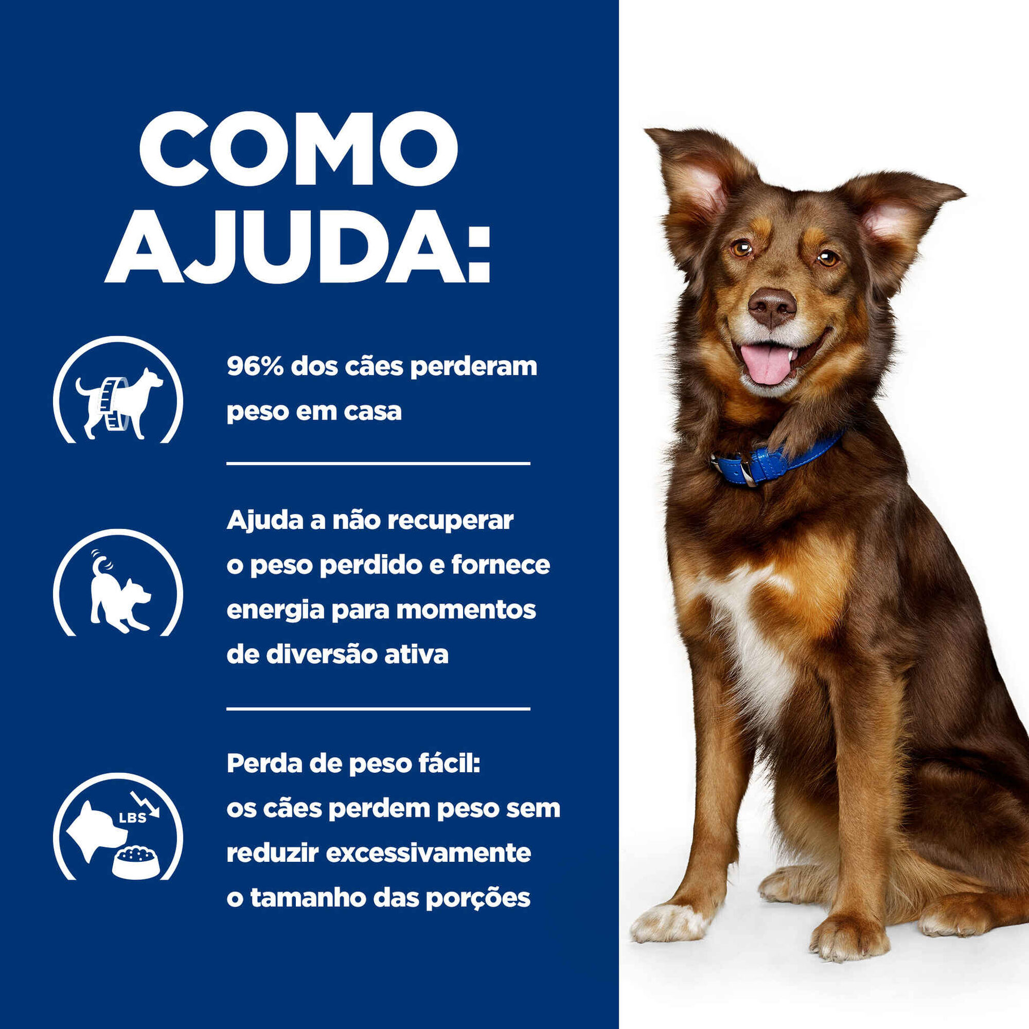 Ração para Cão Prescription Diet Metabolic Weight Loss Frango