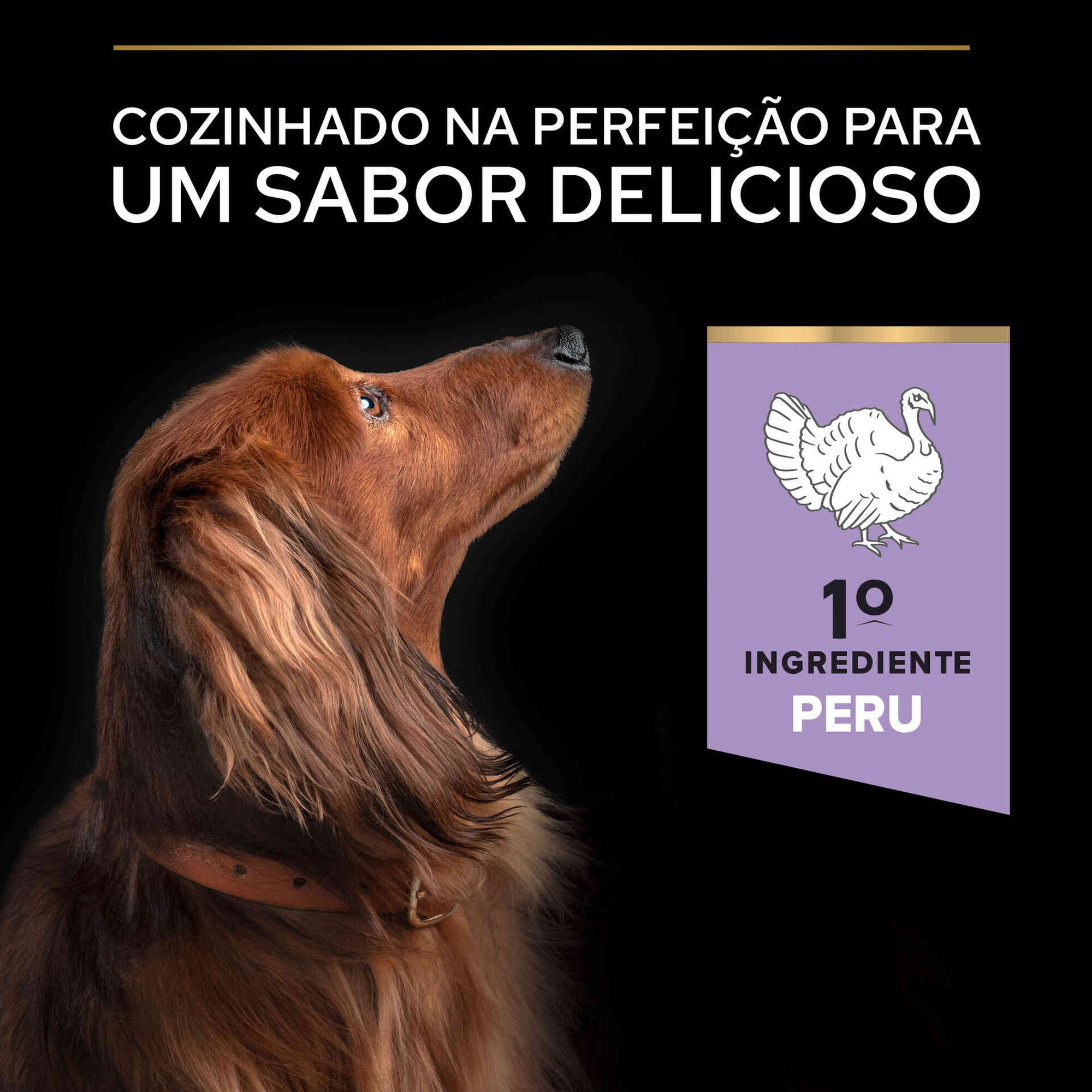 Ração para Cão Adulto Mini Sem Cereais Sensitive Digestion Peru