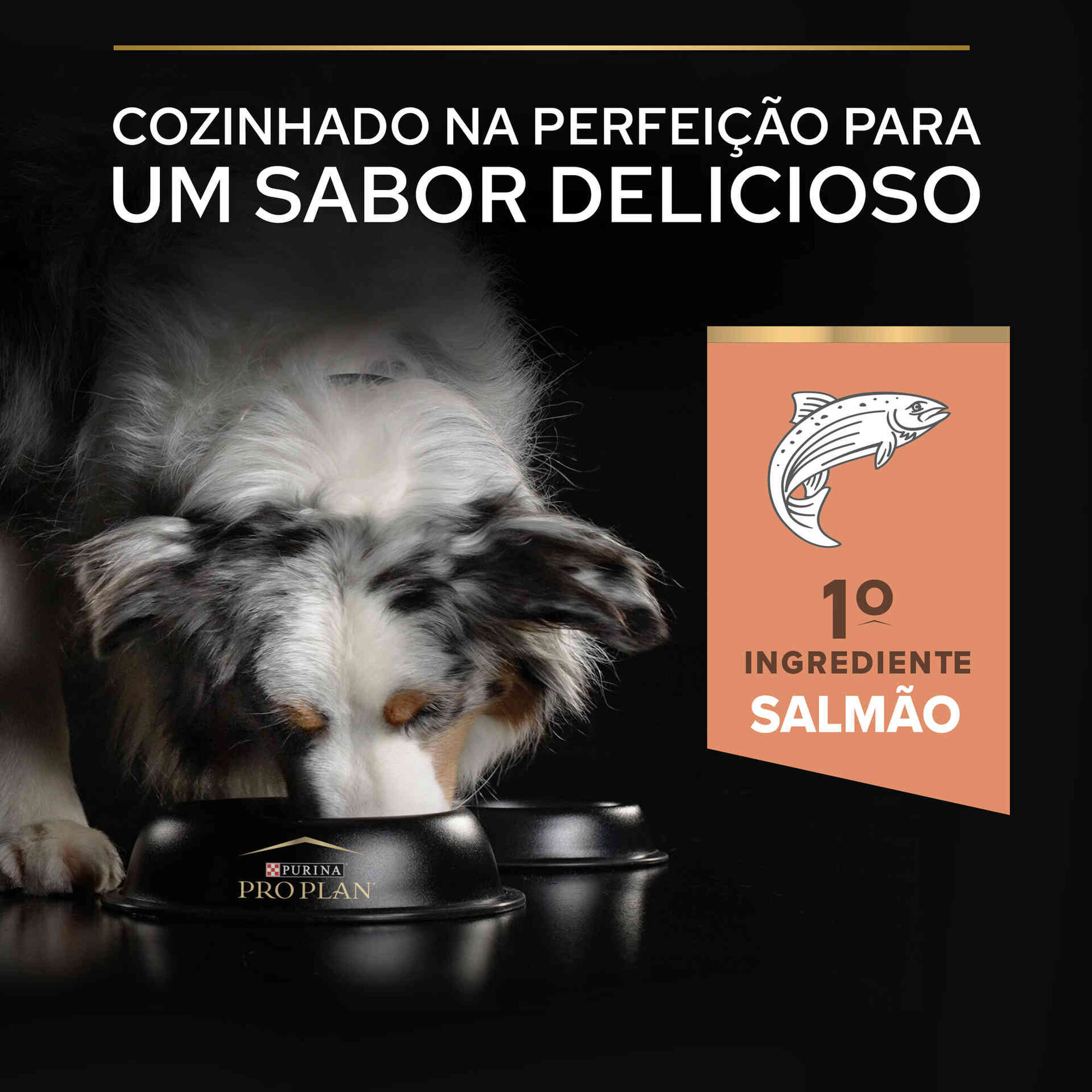 Ração para Cão Adulto Médio Sensitive Skin Salmão