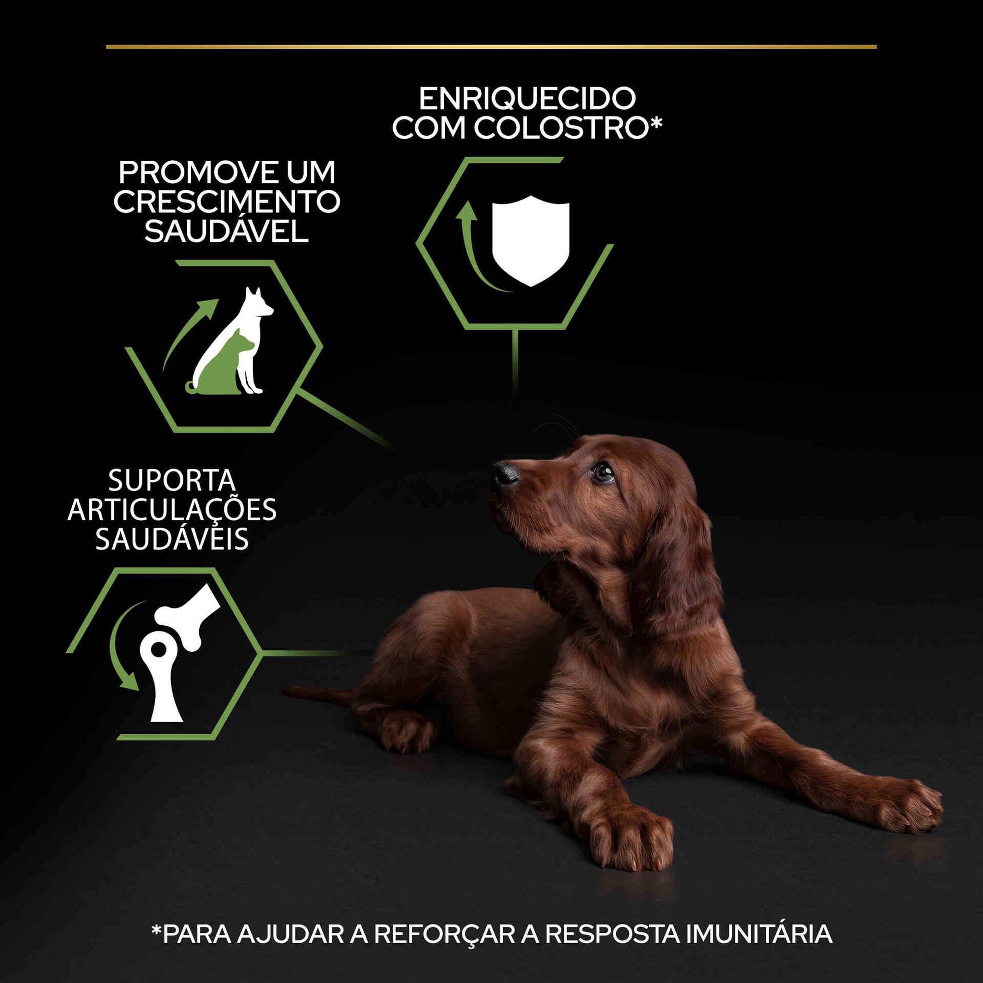 Ração para Cão Júnior Maxi Athletic Healthy Start Frango