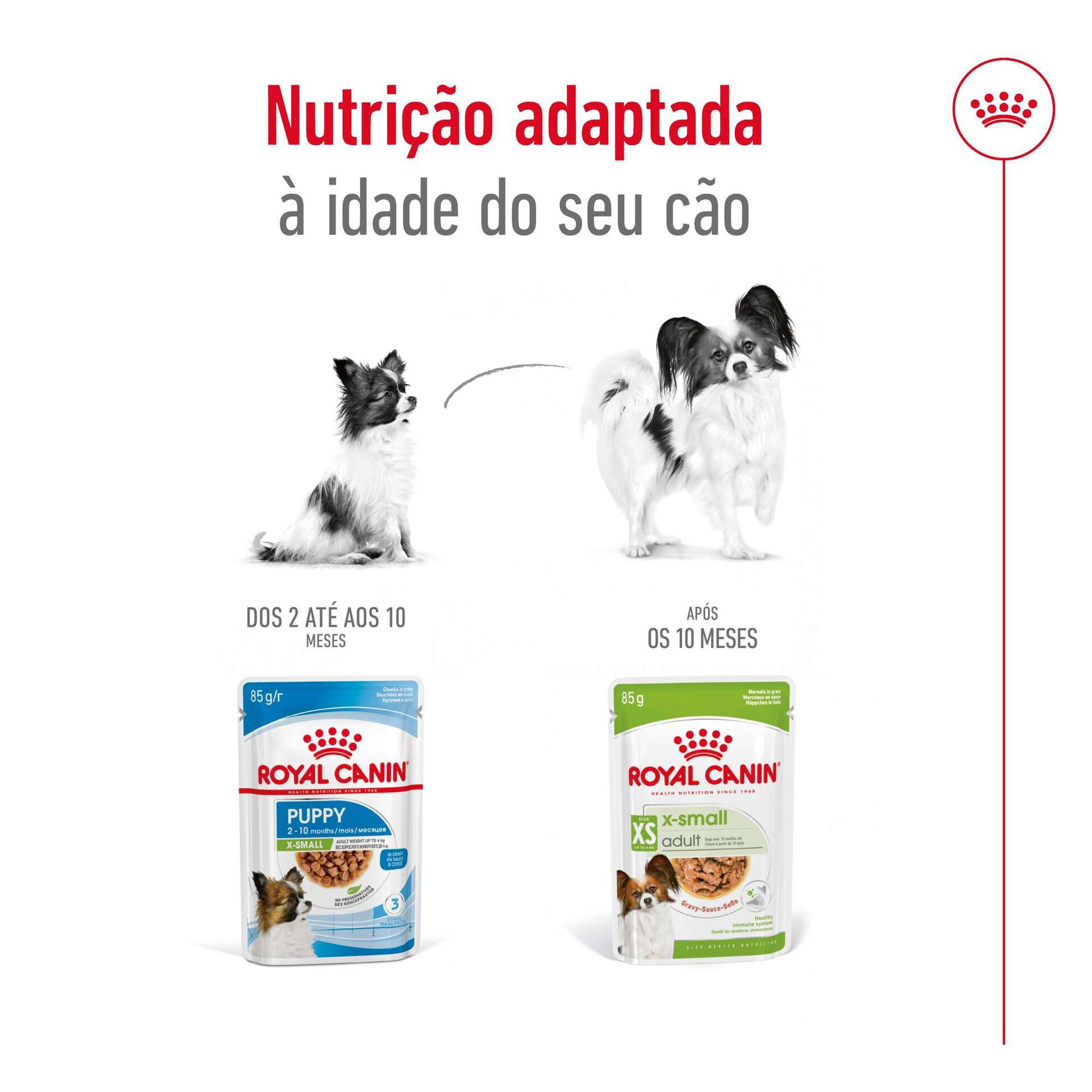 Comida Húmida para Cão Adulto X-Small Comida Húmida para Cão Adulto X-Small