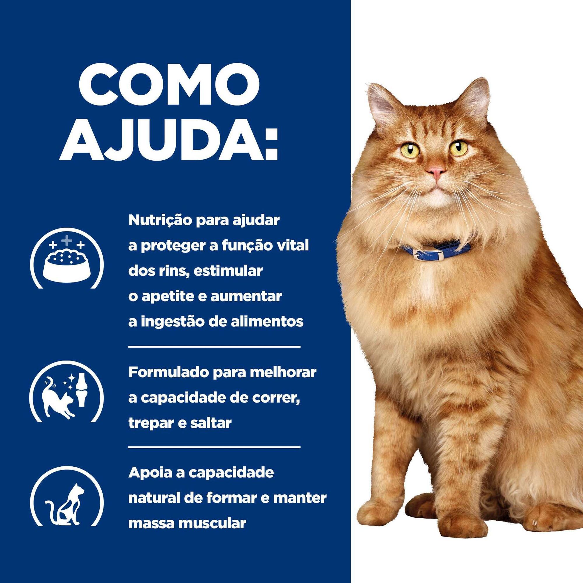 Comida Húmida para Gato Prescription Diet Kidney + Mobility