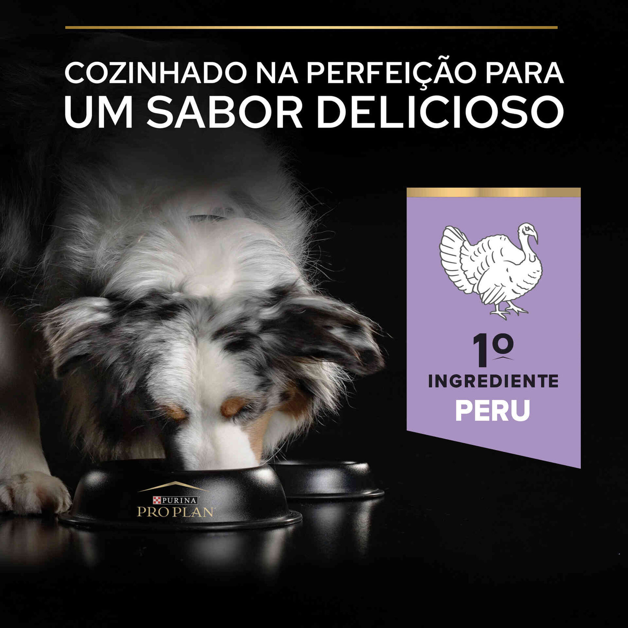 Ração para Cão Adulto Médio e Maxi Sem Cereais Sensitive Digestion Peru Ração para Cão Adulto Médio e Maxi Sem Cereais Sensitive Digestion Peru